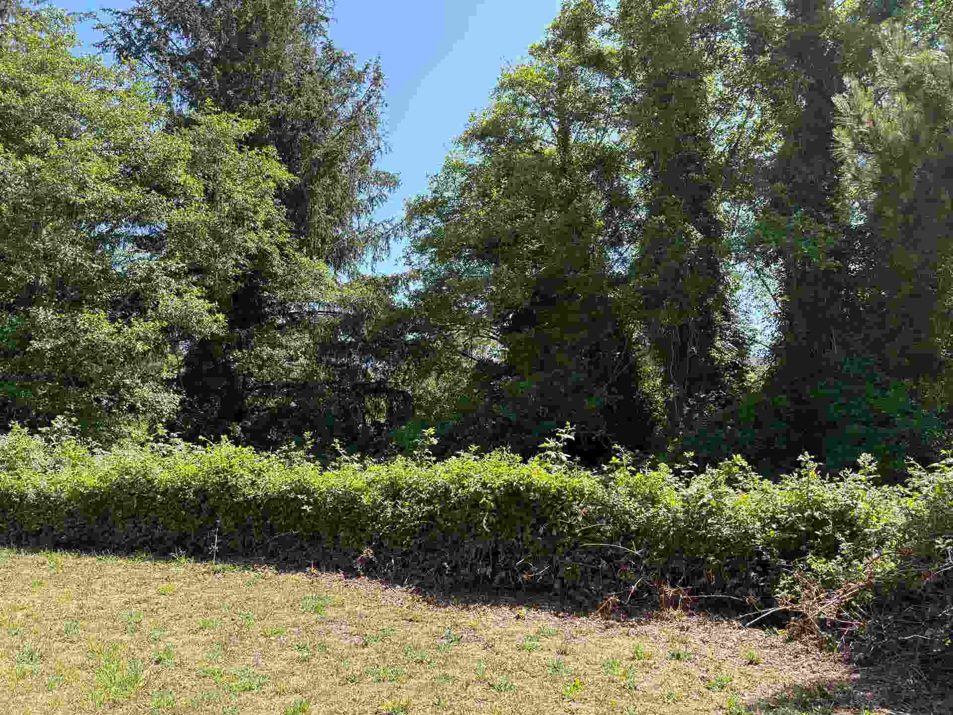 2460/2464 Kelly Avenue, Crescent City, CA 95531