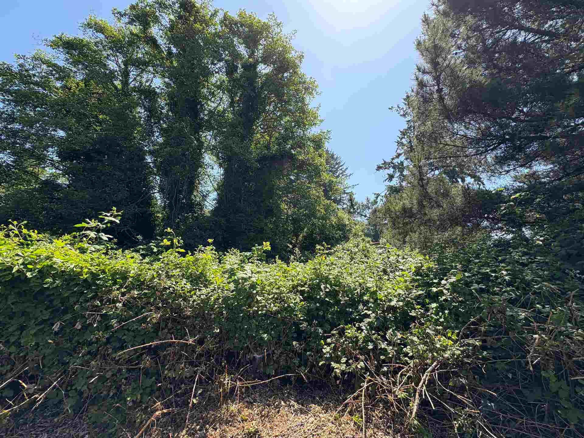 2460/2464 Kelly Avenue, Crescent City, CA 95531