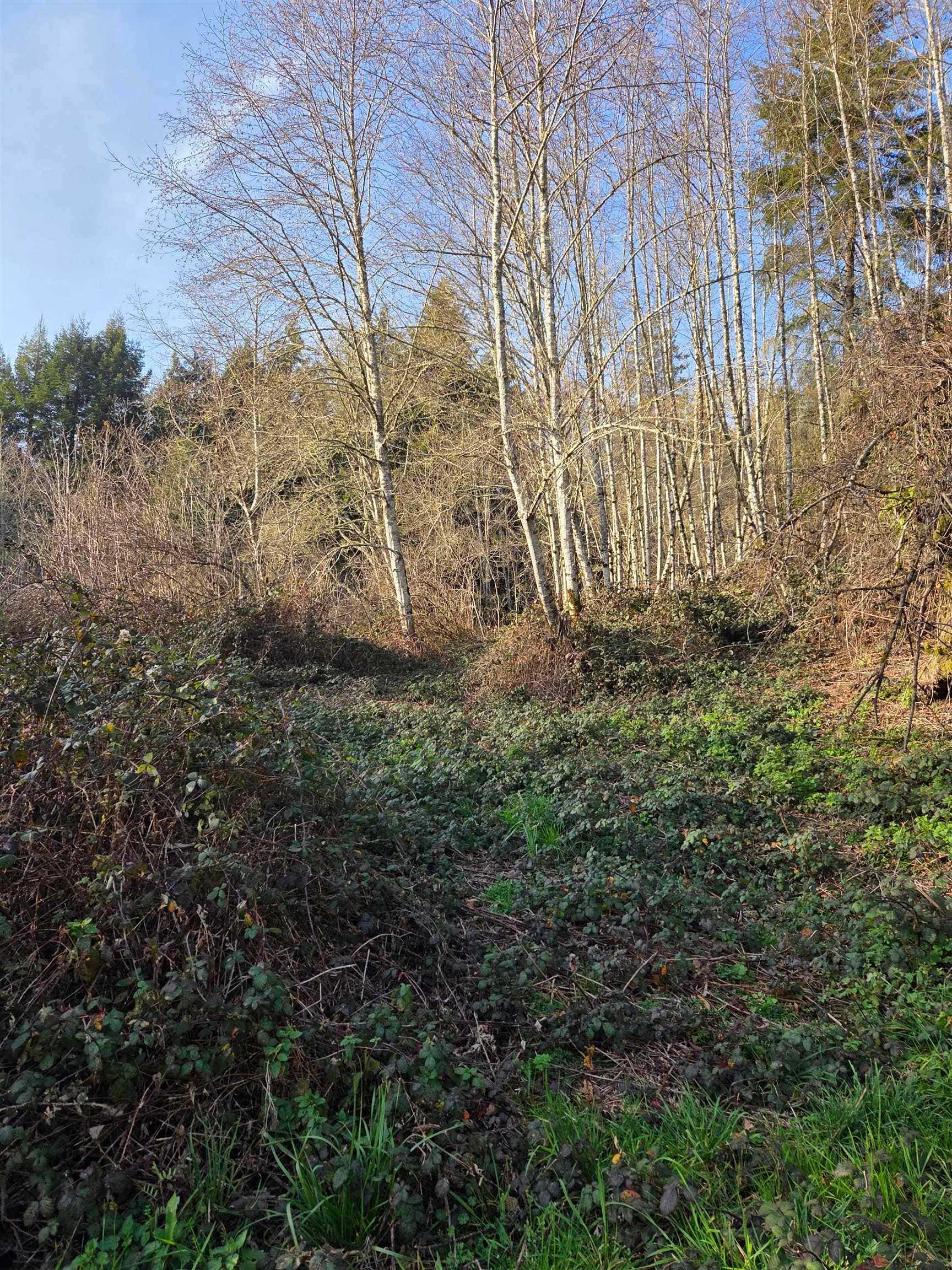 00 Hight's View Drive, Smith River, CA 95567-0000