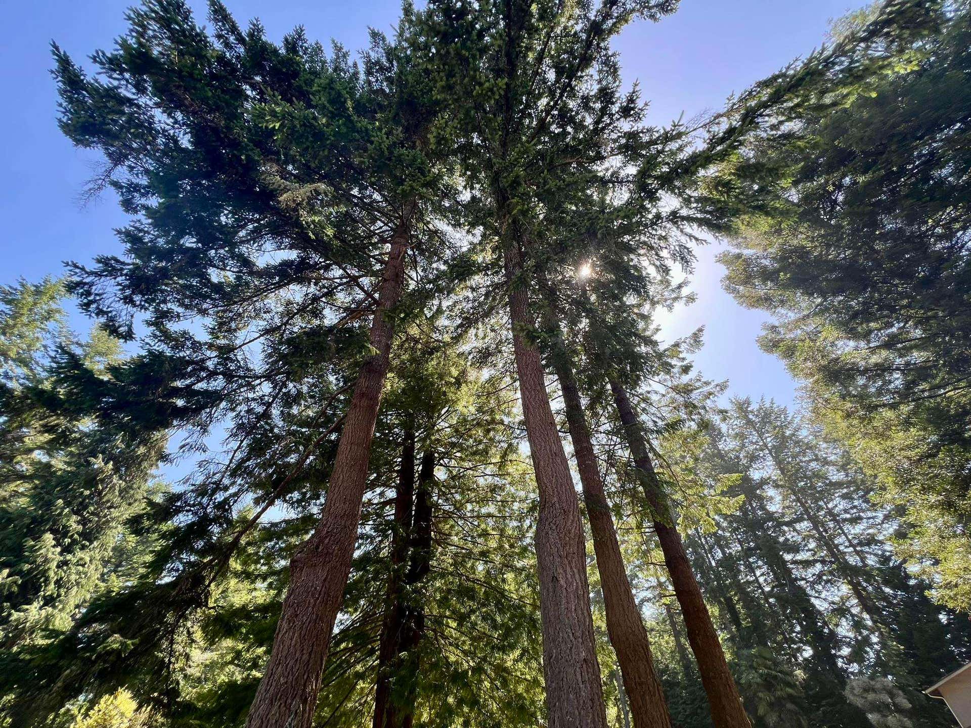 Lot 25 Spyglass Road, Smith River, CA 95567