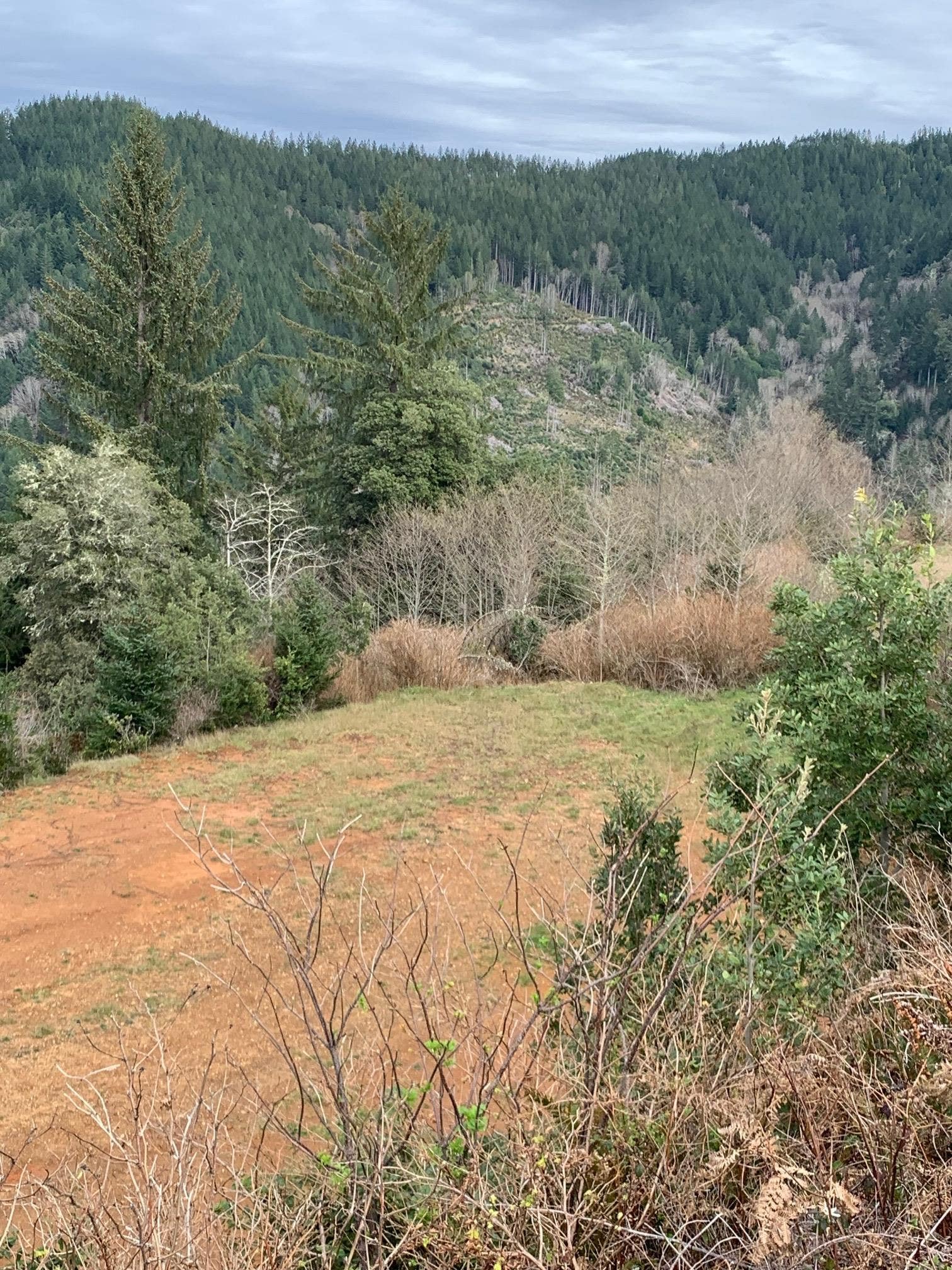 Lot 28 Spyglass Road, Smith River, CA 95567