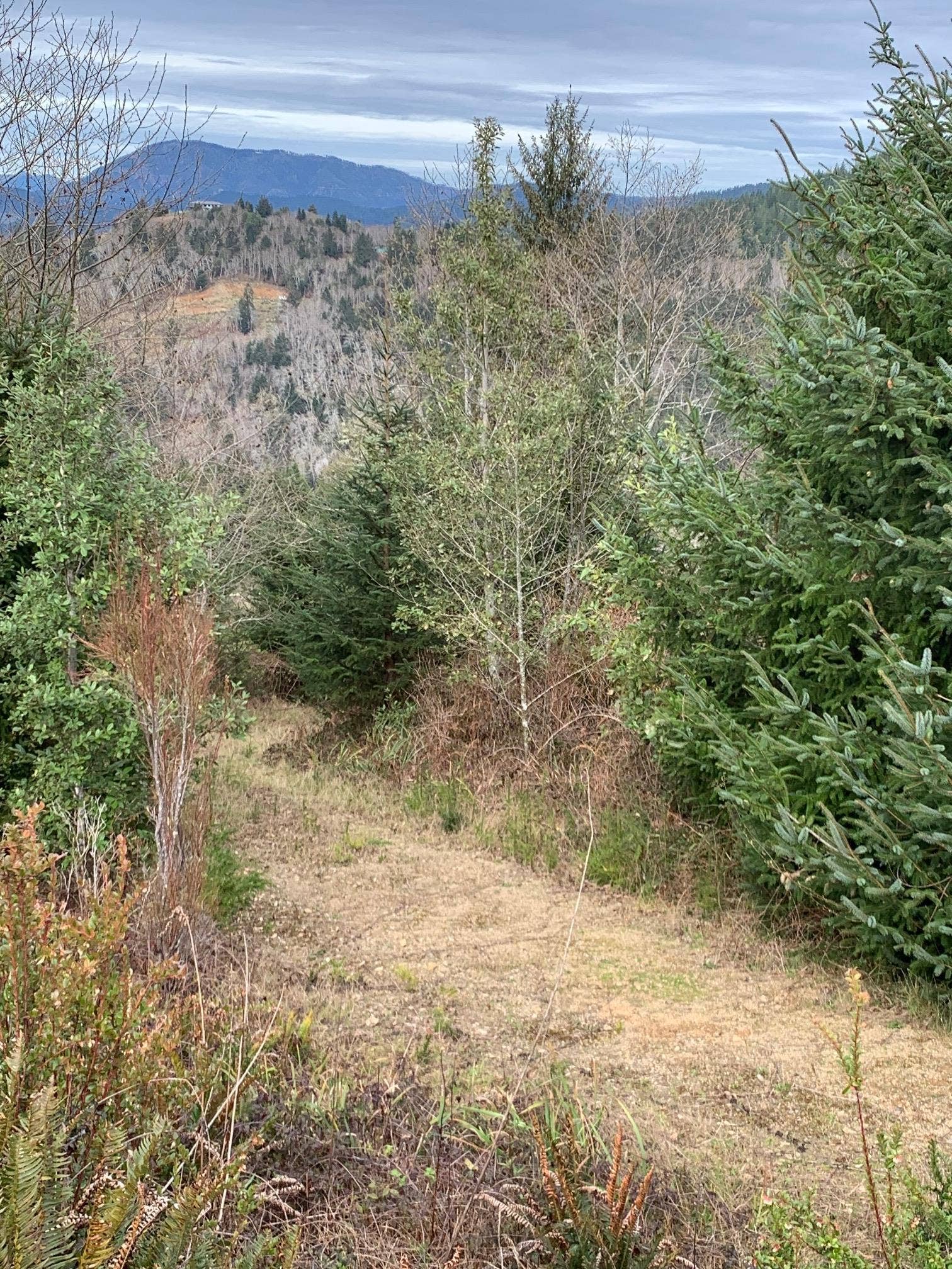 Lot 28 Spyglass Road, Smith River, CA 95567