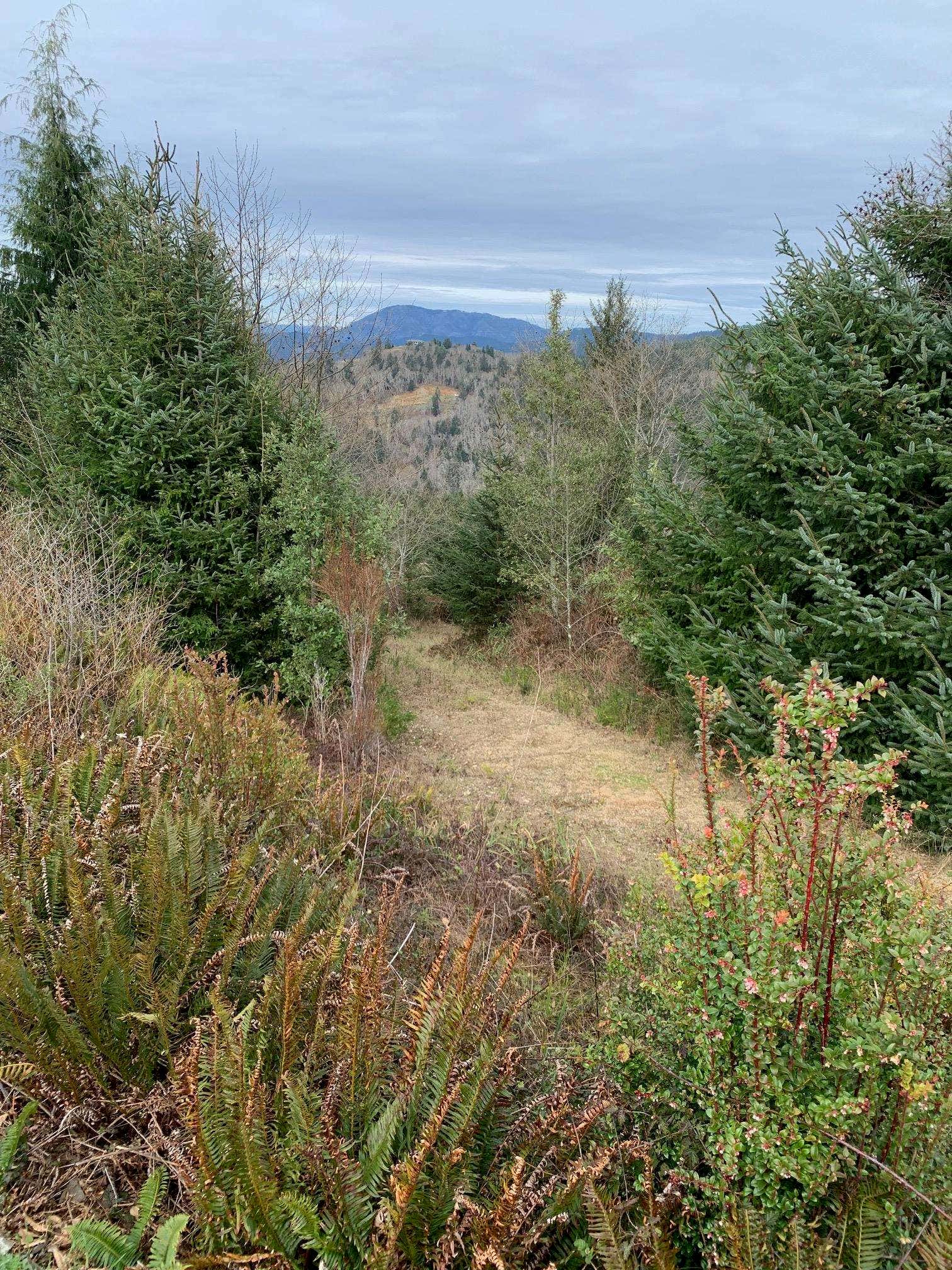 Lot 28 Spyglass Road, Smith River, CA 95567