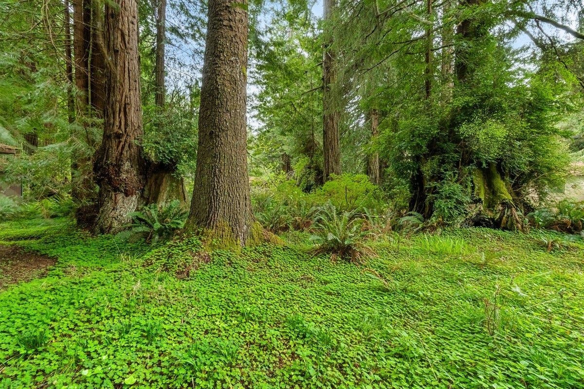100 Staley Lane, Crescent City, CA 95531