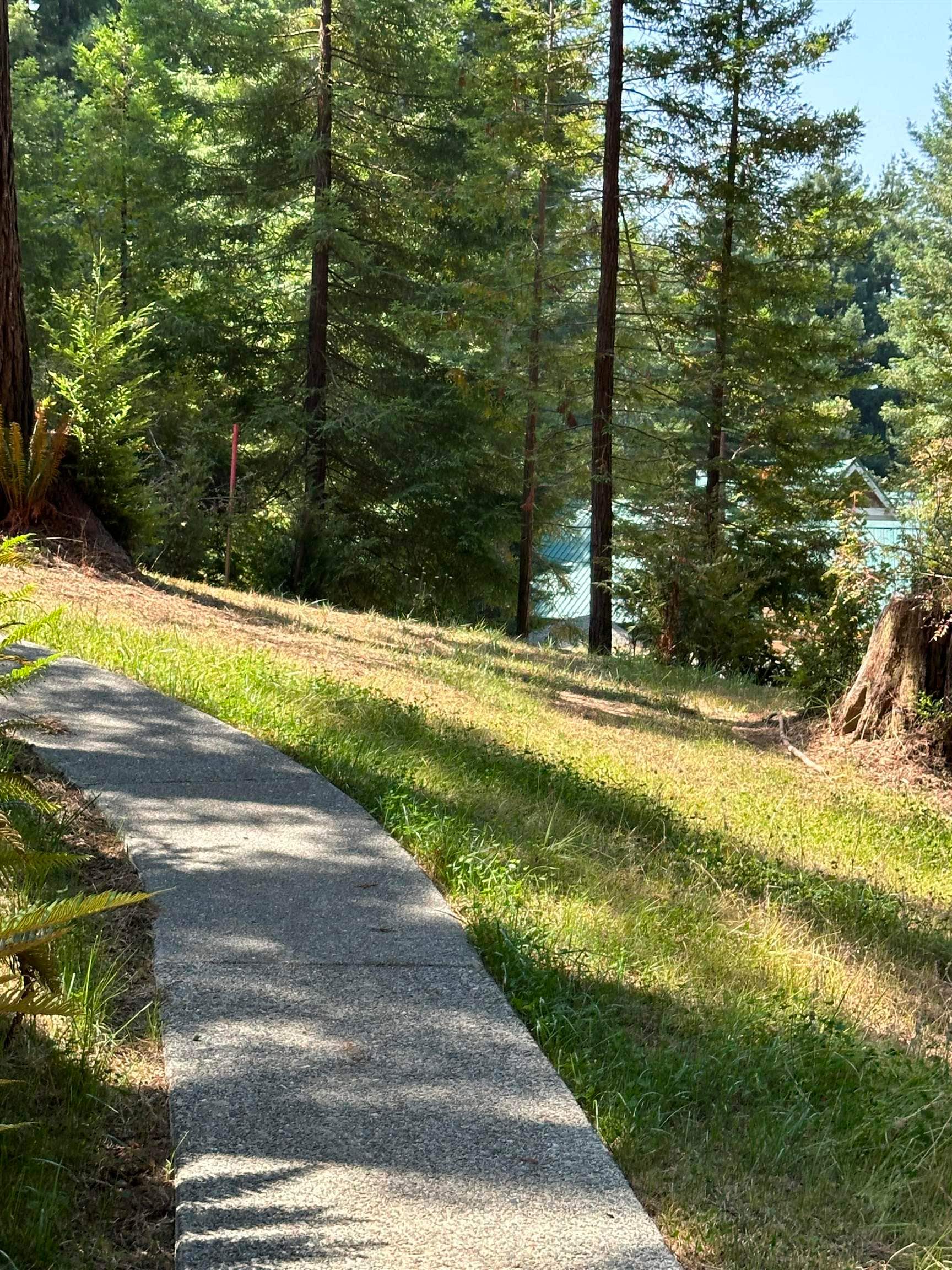 300 Bell Hole Loop, Crescent City, CA 95531