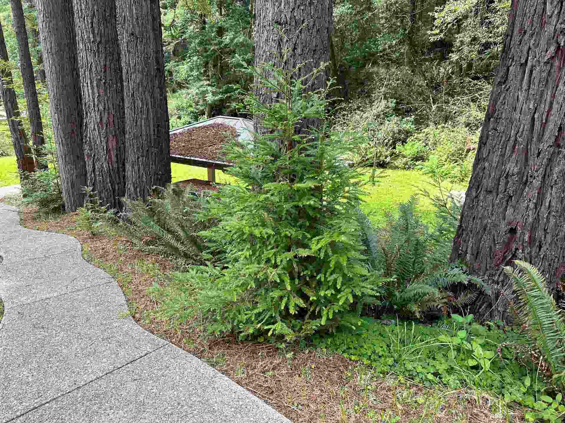 300 Bell Hole Loop, Crescent City, CA 95531