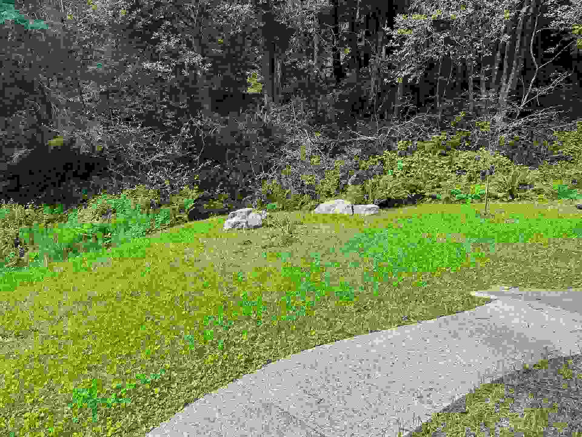300 Bell Hole Loop, Crescent City, CA 95531
