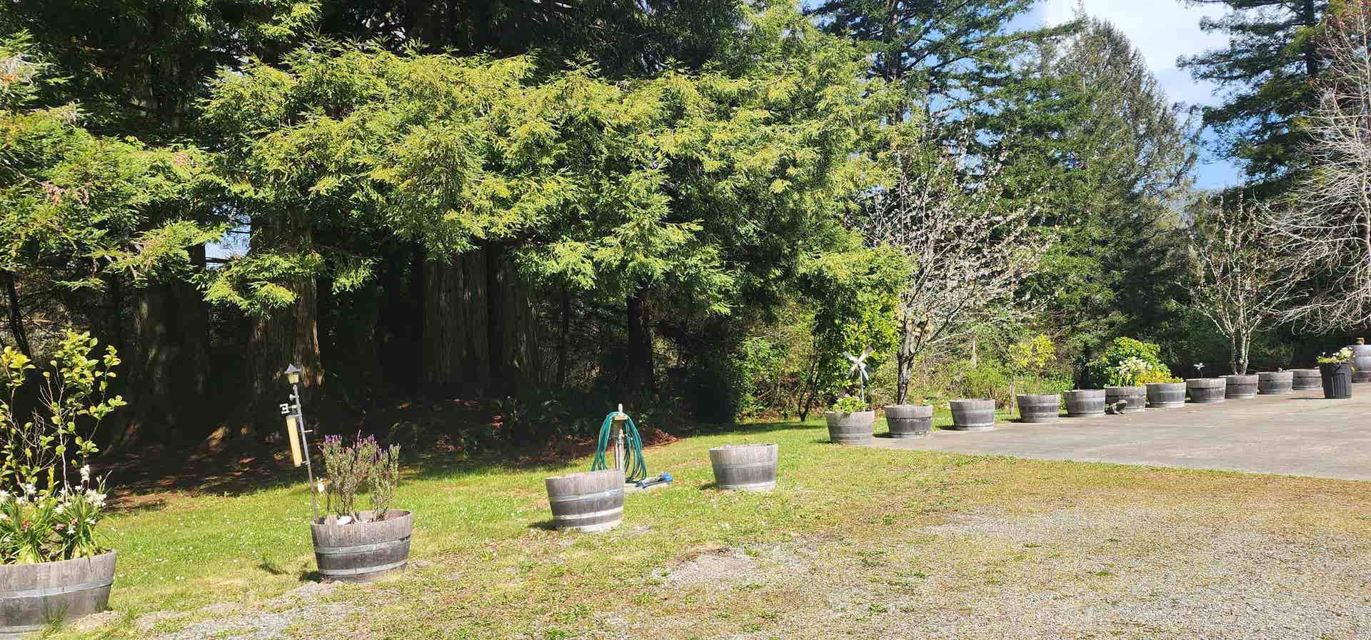 7001 N Highway 101, Crescent City, CA 95531