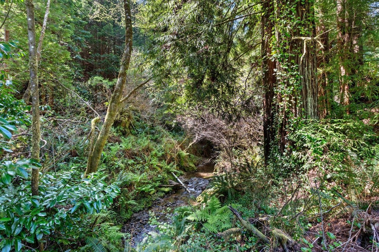 5630 South Bank Road, Crescent City, CA 95531