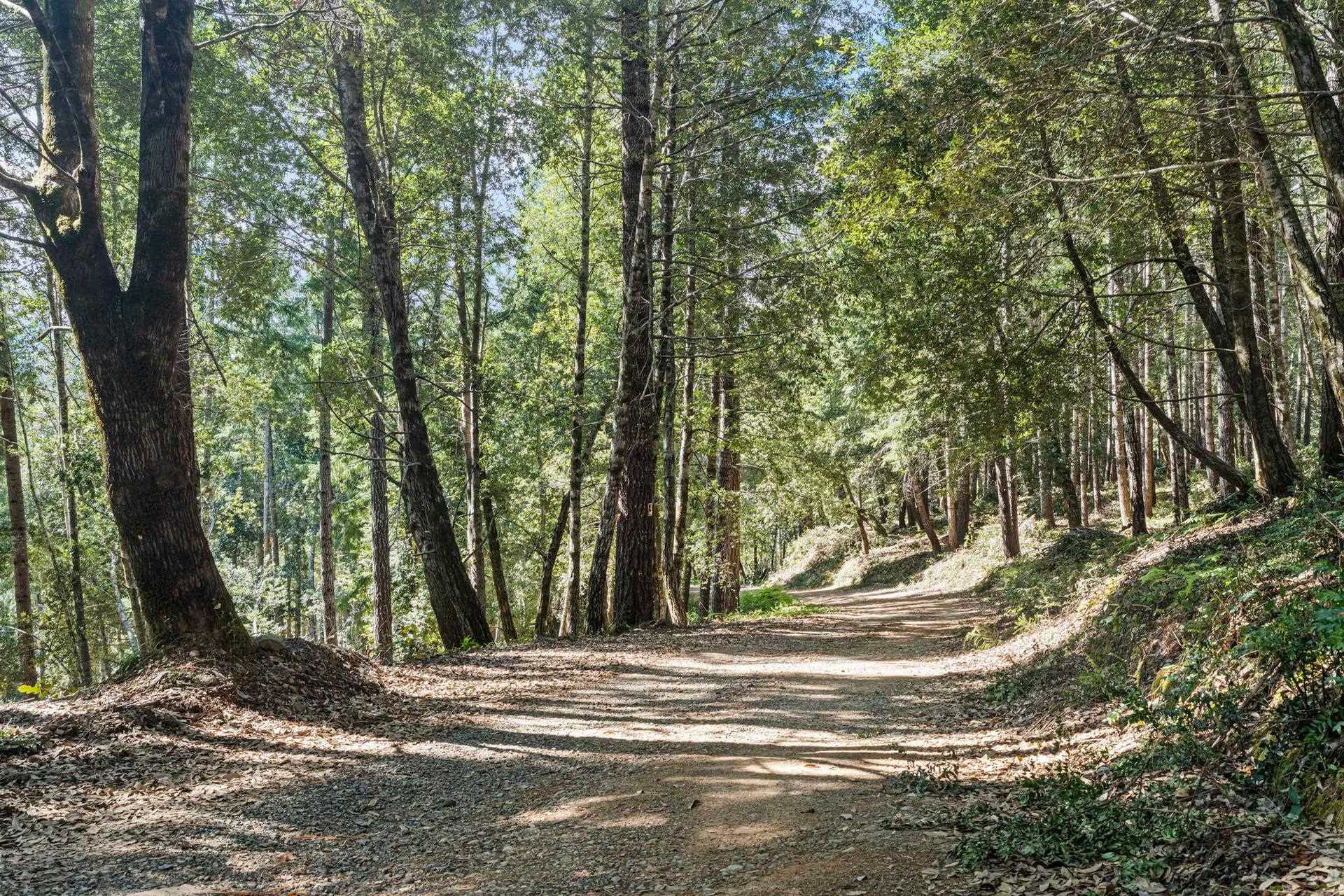055 Foxridge Road, Crescent City, CA 95531