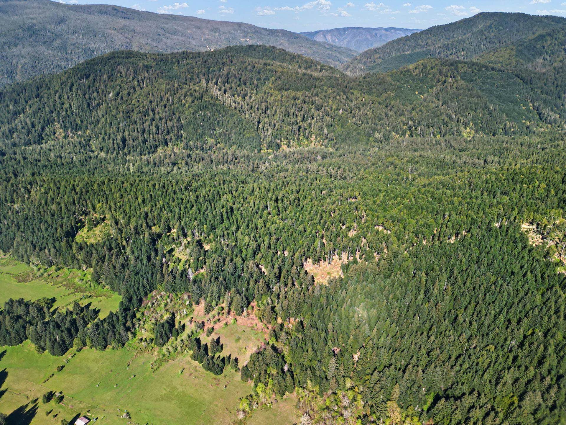 055 Foxridge Road, Crescent City, CA 95531