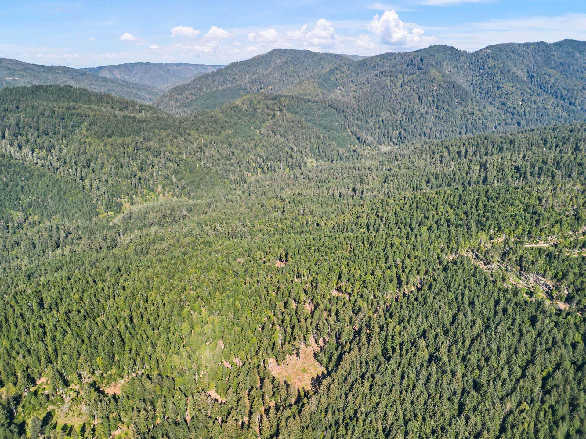055 Foxridge Road, Crescent City, CA 95531