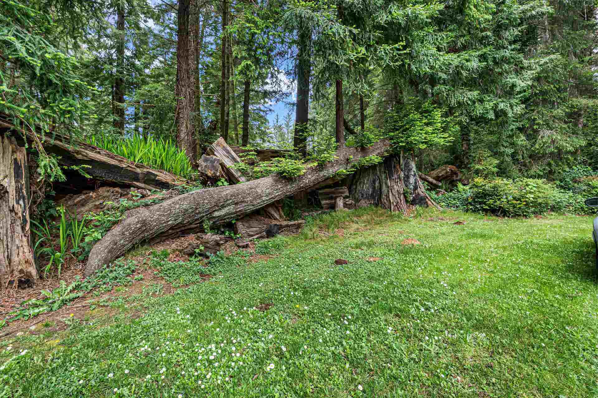 Landscaped grounds, designed for easy maintenance. Well and septic.