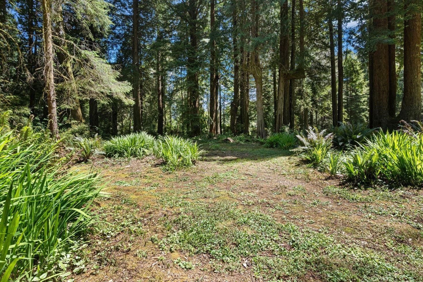 411 Fernwood Lane, Crescent City, CA 95531