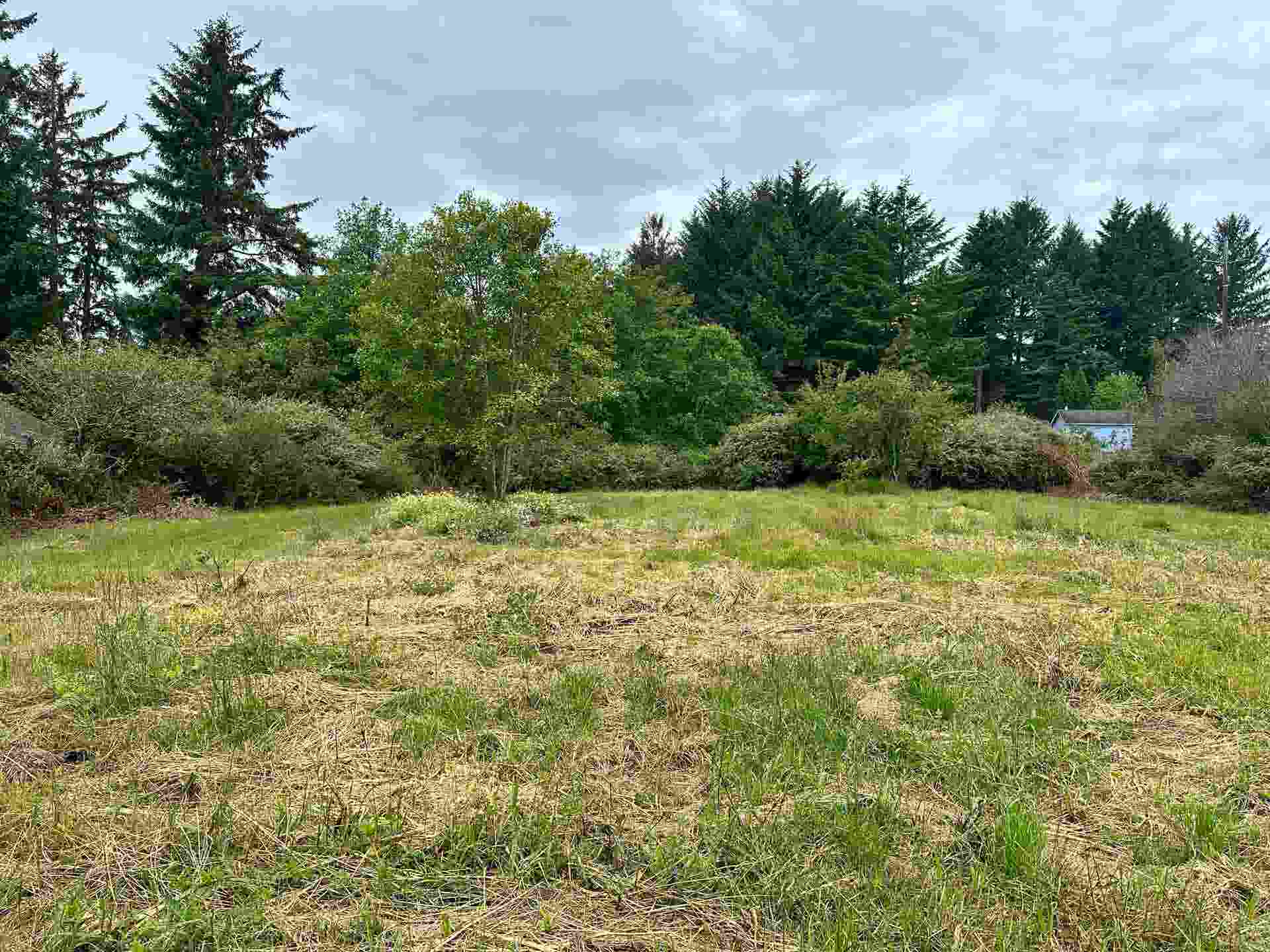 304 Humboldt Road, Crescent City, CA 95531