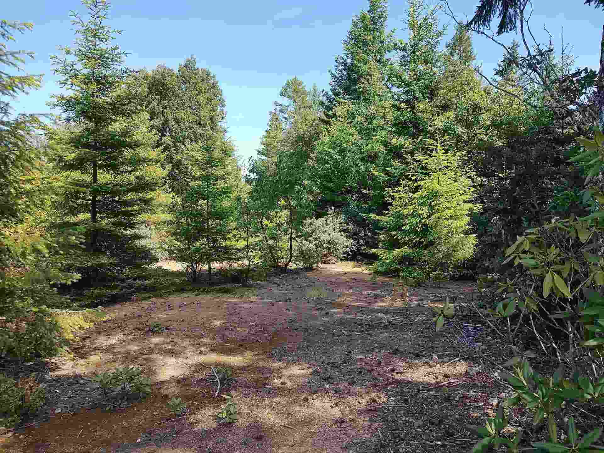 000 High Mountain Road, Crescent City, CA 95531