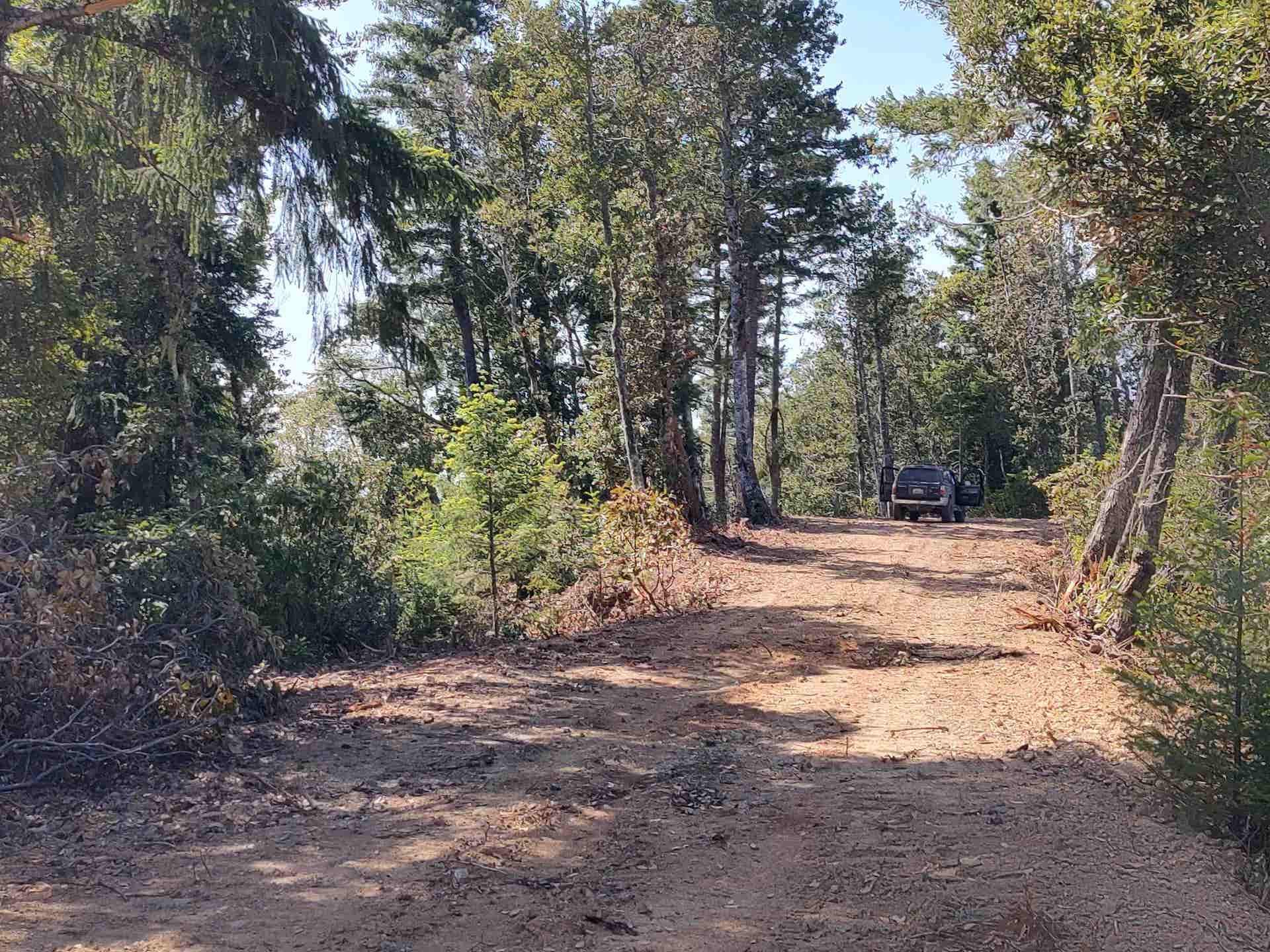 000 High Mountain Road, Crescent City, CA 95531