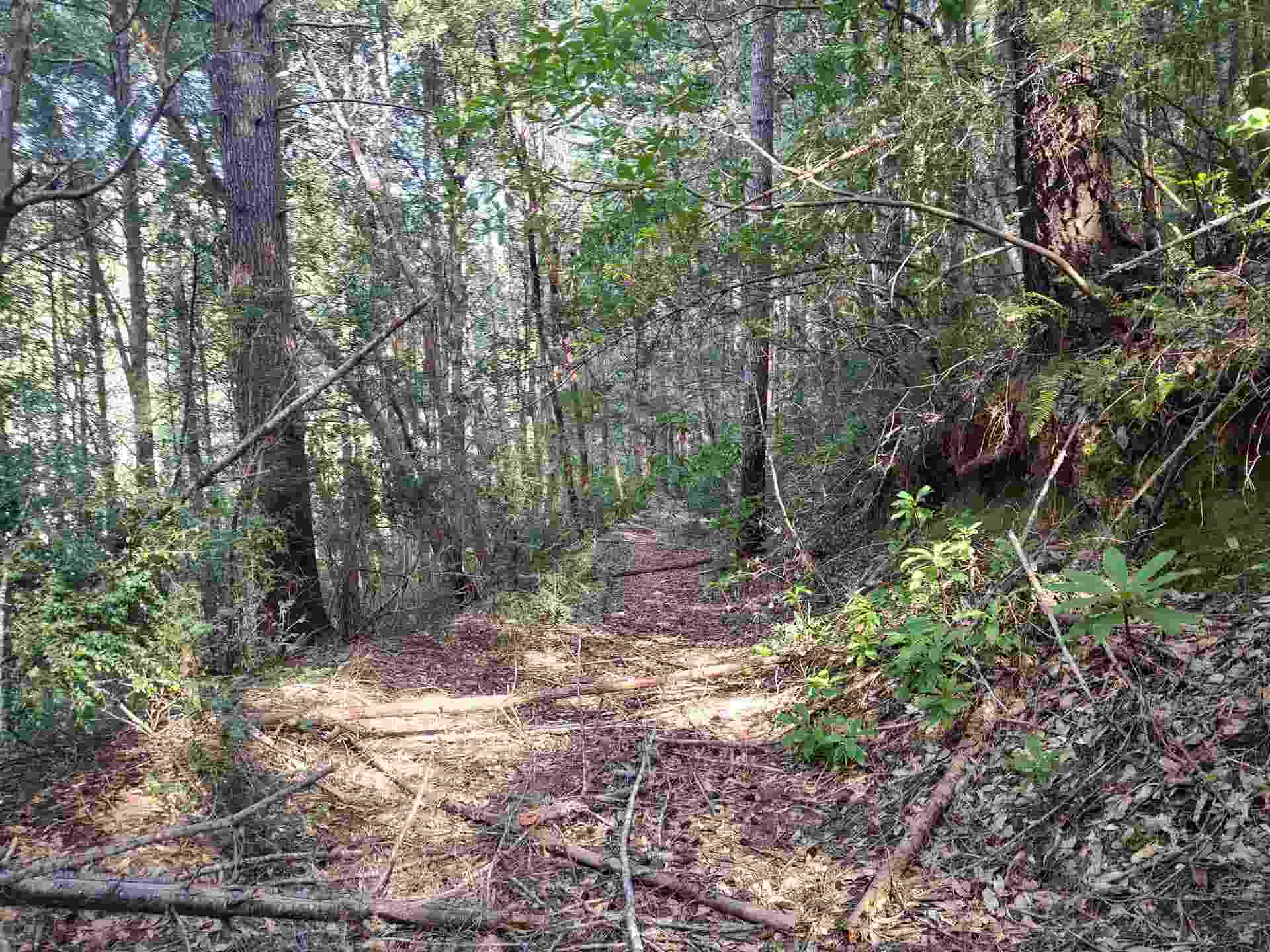 000 High Mountain Road, Crescent City, CA 95531