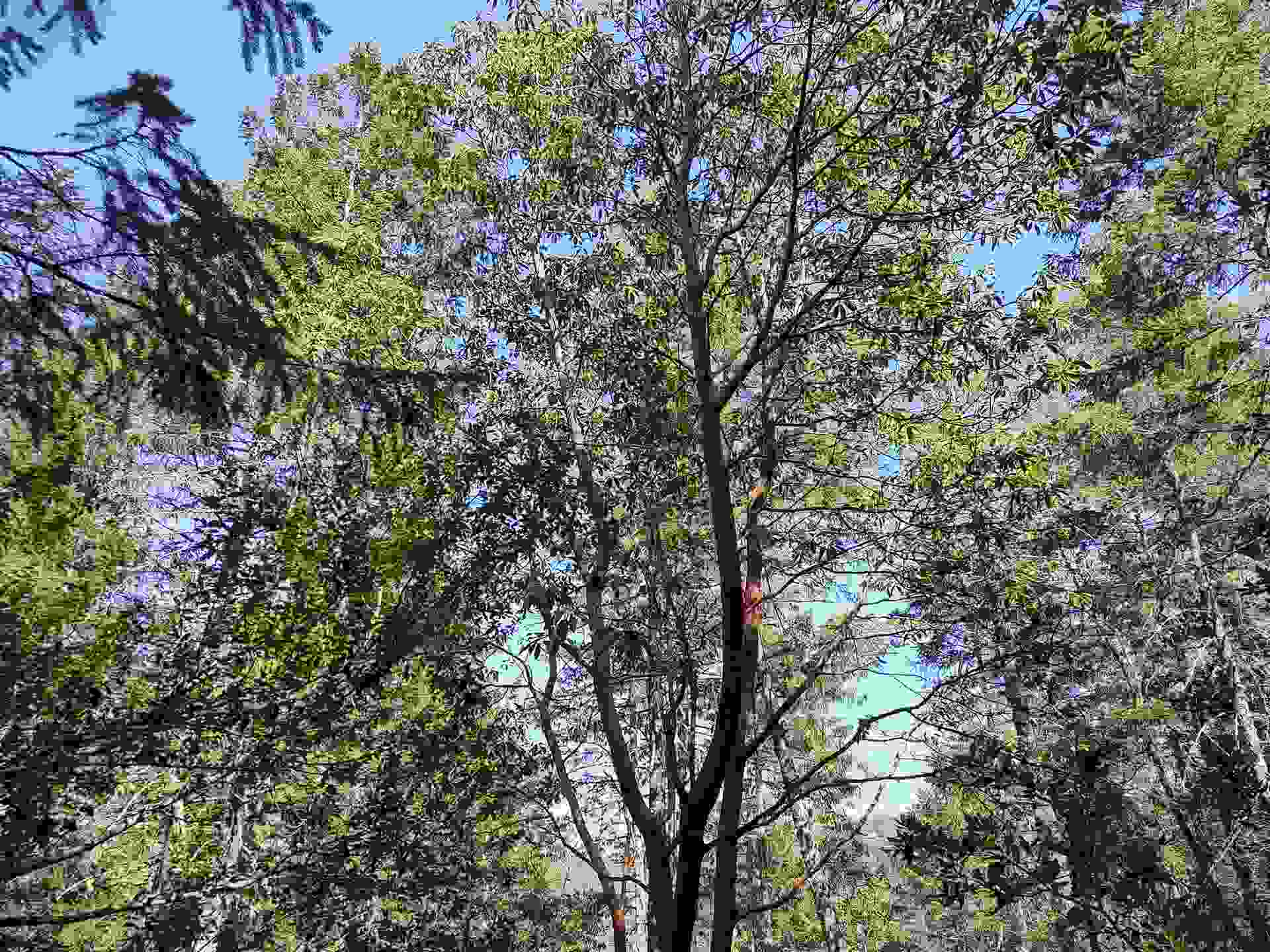 000 High Mountain Road, Crescent City, CA 95531
