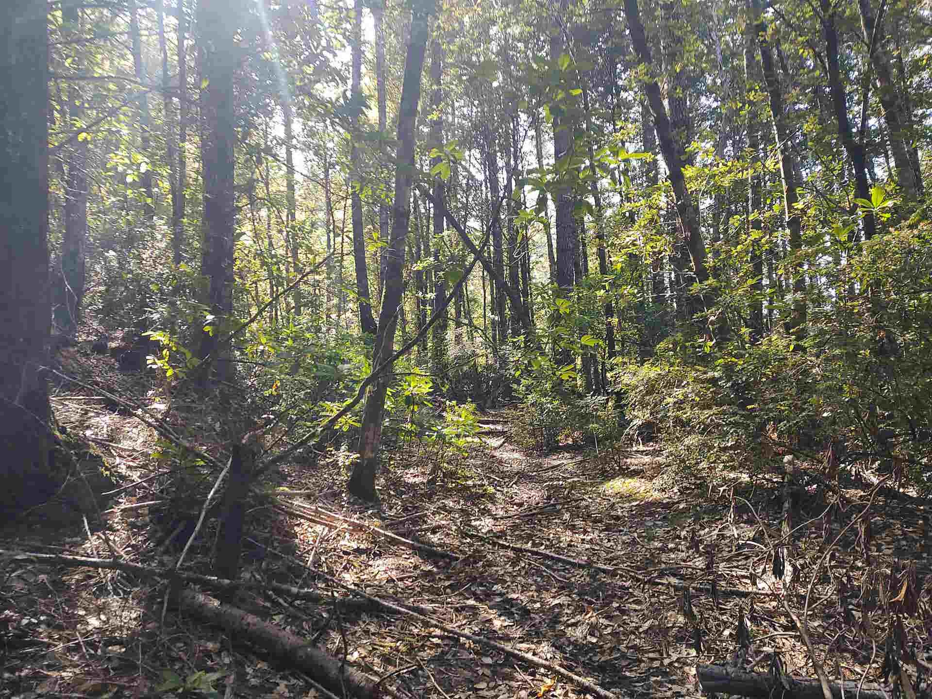 000 High Mountain Road, Crescent City, CA 95531