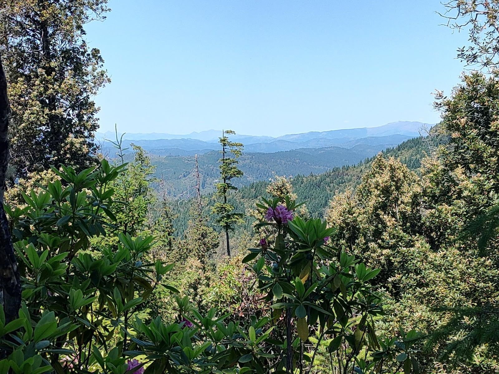 000 High Mountain Road, Crescent City, CA 95531