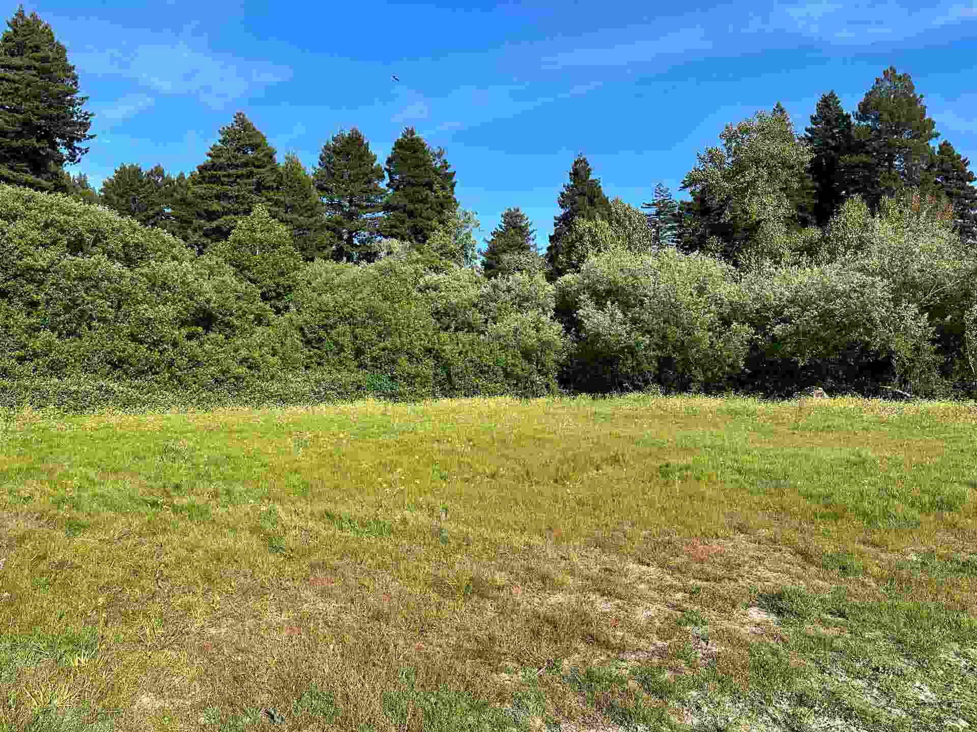 141-140-048-000 Huckleberry Road, Klamath, CA 95548