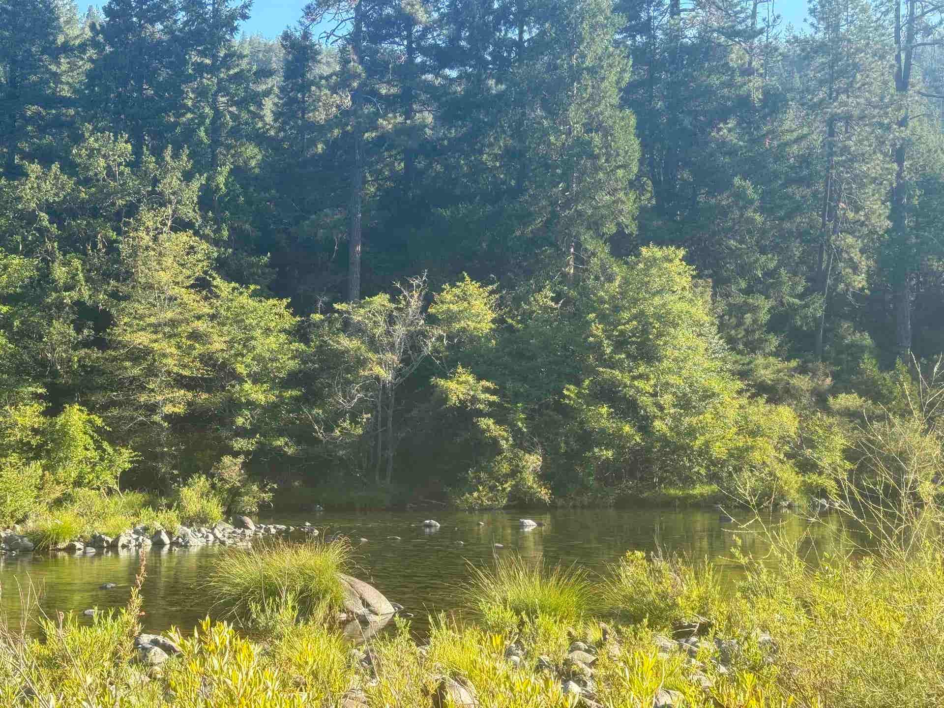 520 Gasquet Flat Road, Gasquet, CA 95543
