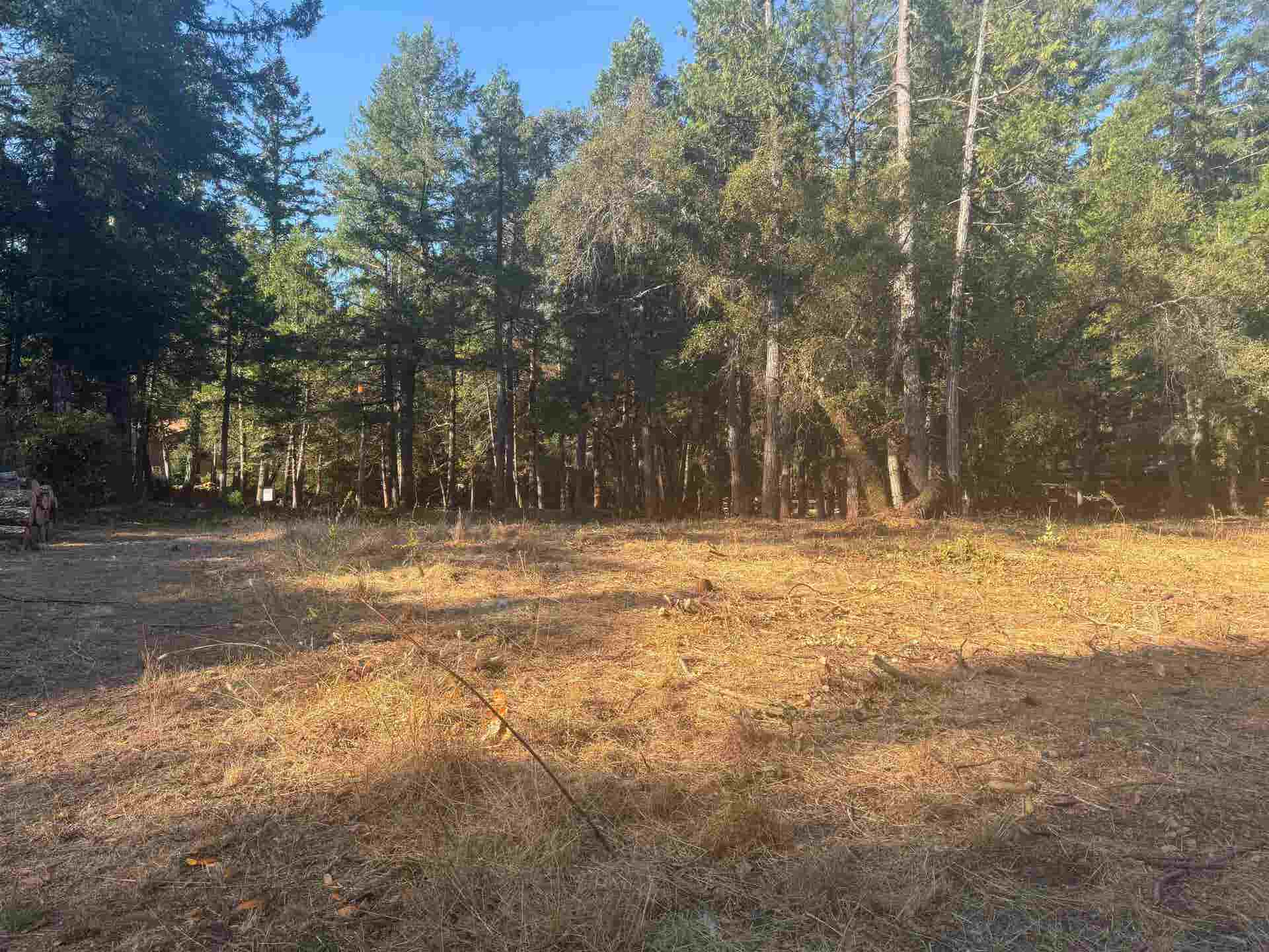 520 Gasquet Flat Road, Gasquet, CA 95543