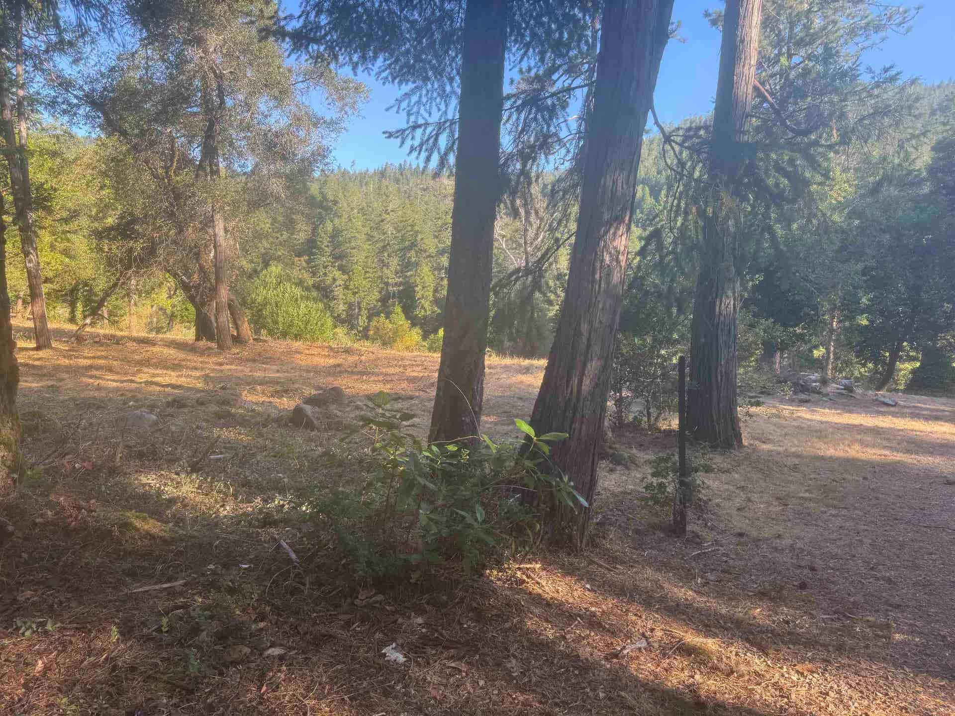 520 Gasquet Flat Road, Gasquet, CA 95543