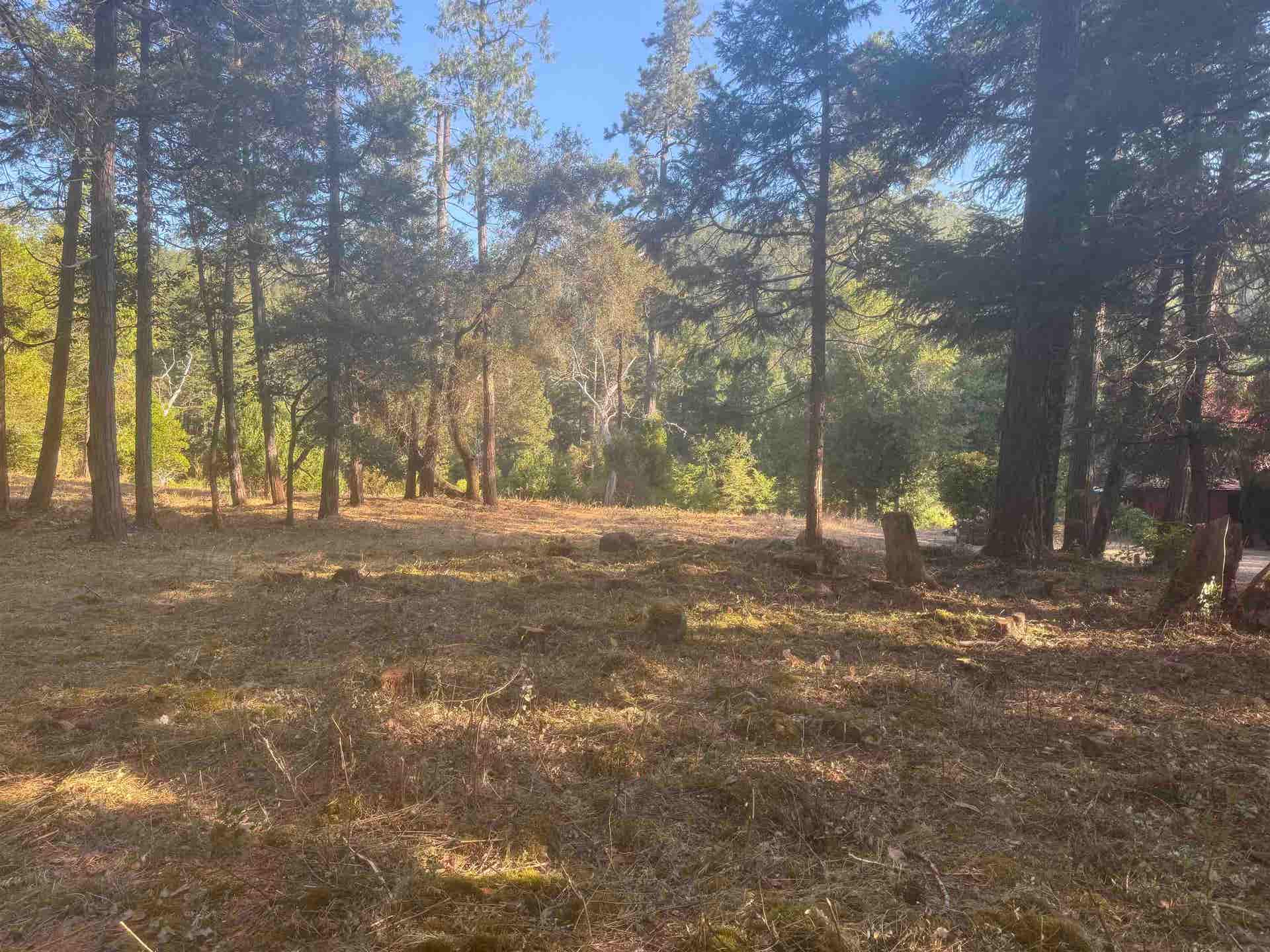 520 Gasquet Flat Road, Gasquet, CA 95543