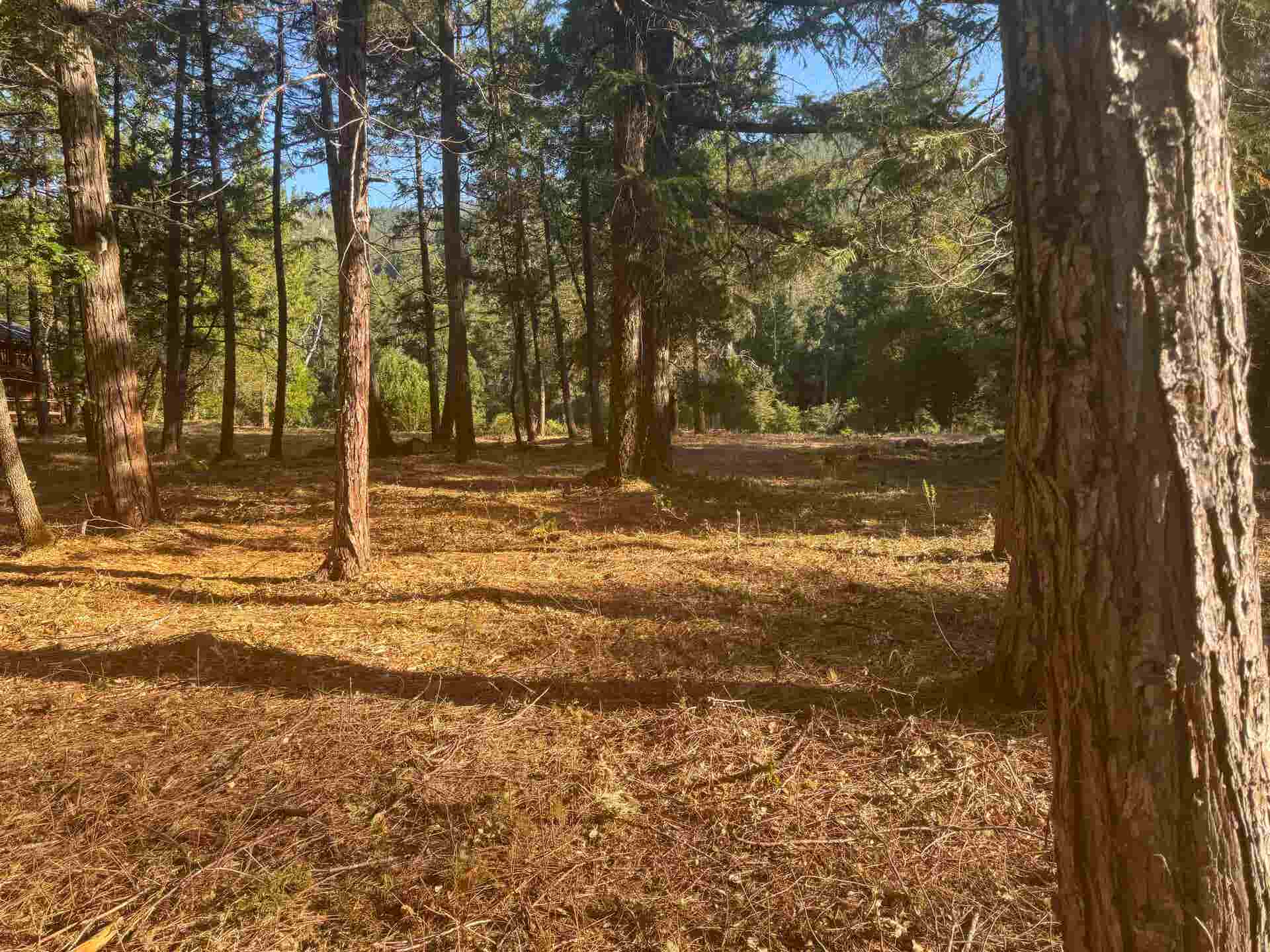 520 Gasquet Flat Road, Gasquet, CA 95543