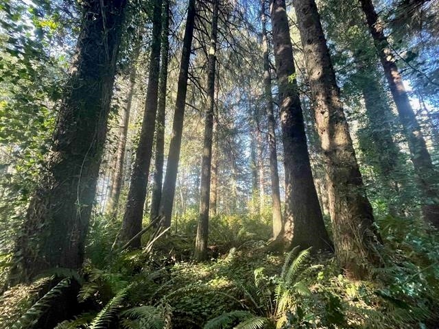 600 Tedsen Lane, Crescent City, CA 95531