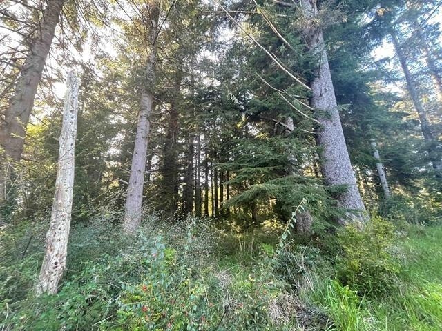 600 Tedsen Lane, Crescent City, CA 95531