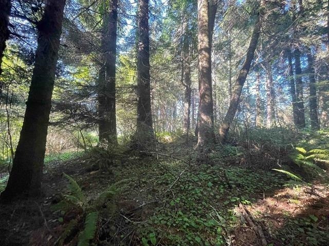 600 Tedsen Lane, Crescent City, CA 95531