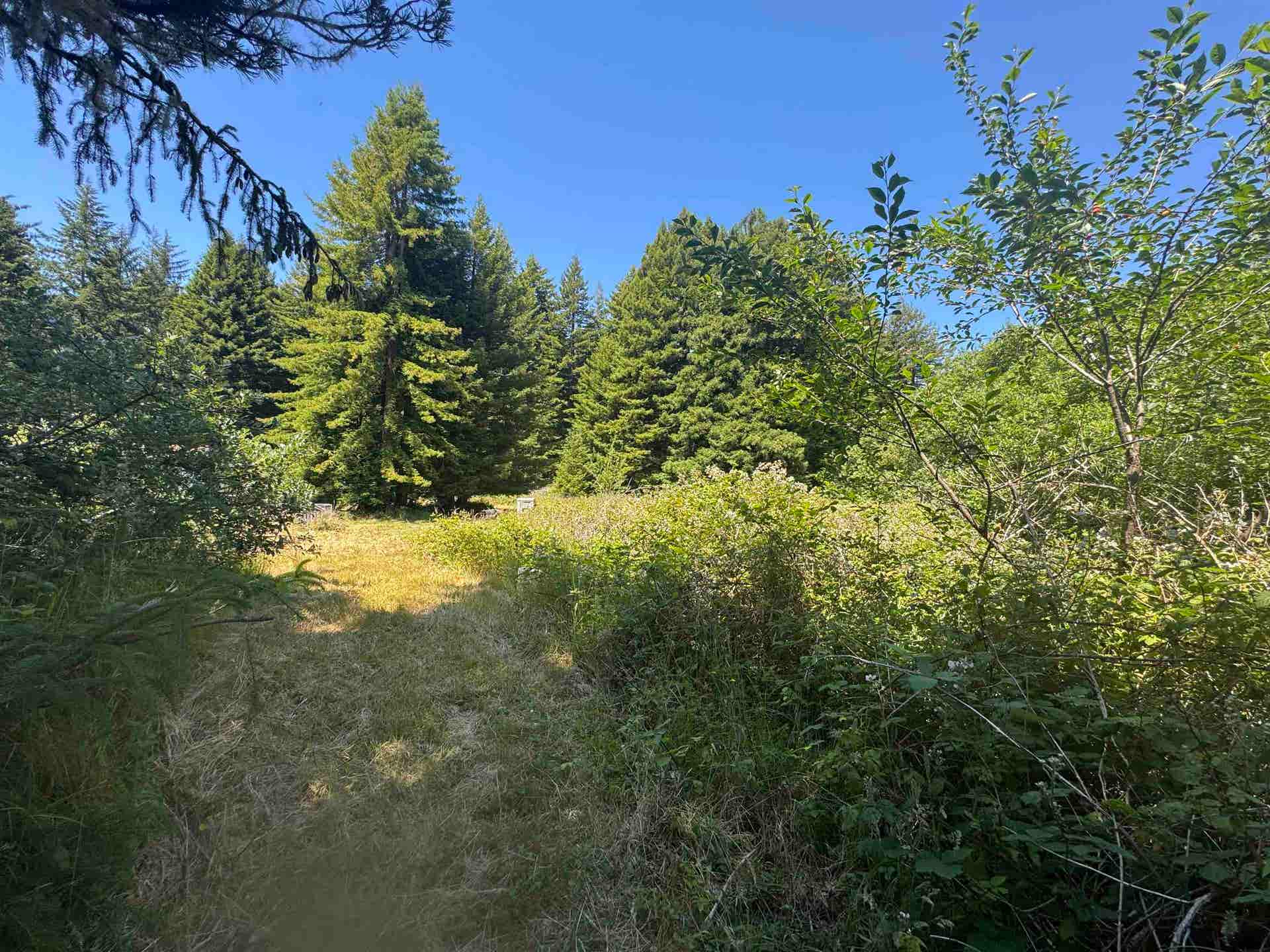 2035 Morehead Road, Crescent City, CA 95531-2317
