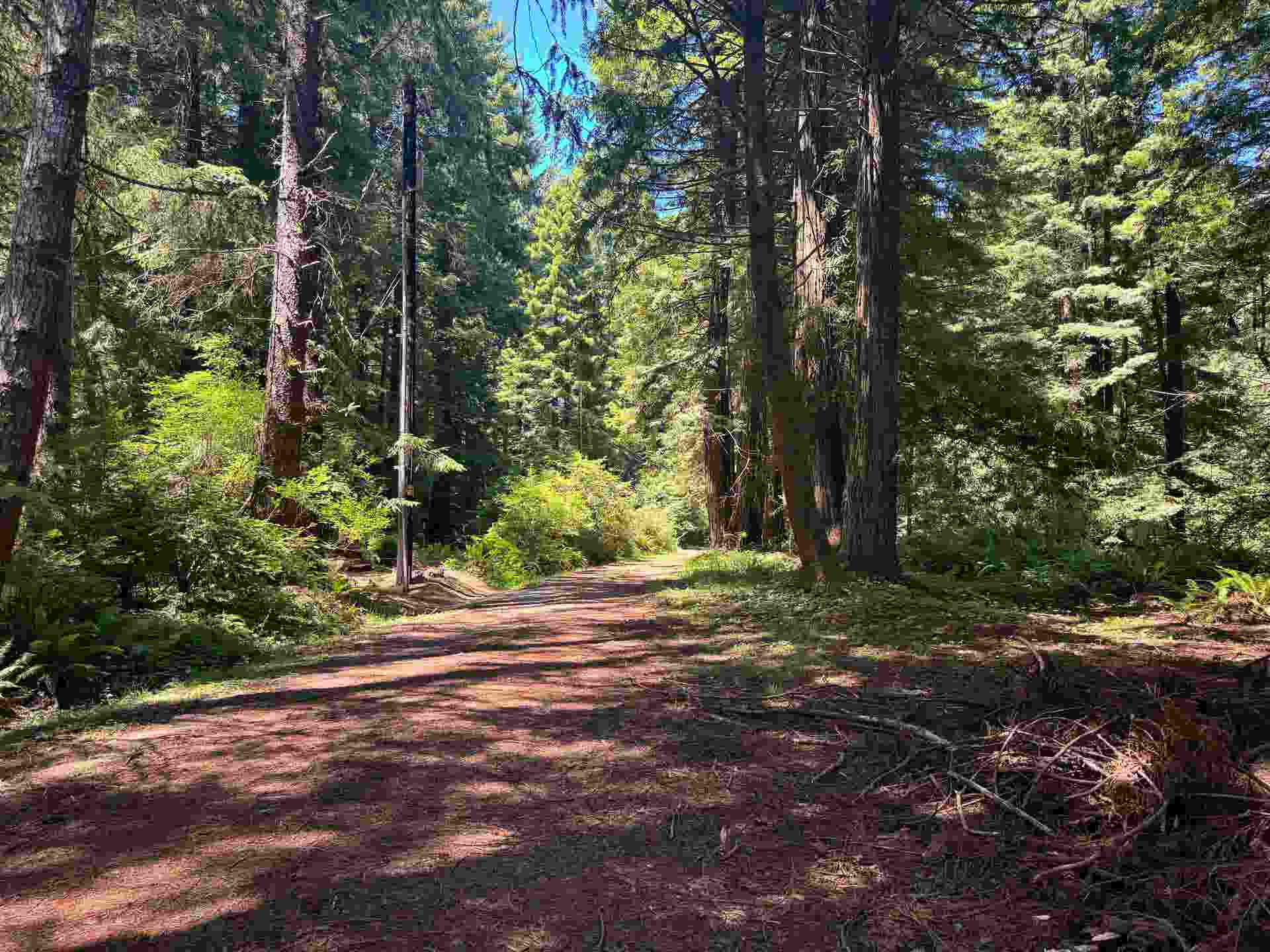 2035 Morehead Road, Crescent City, CA 95531-2317