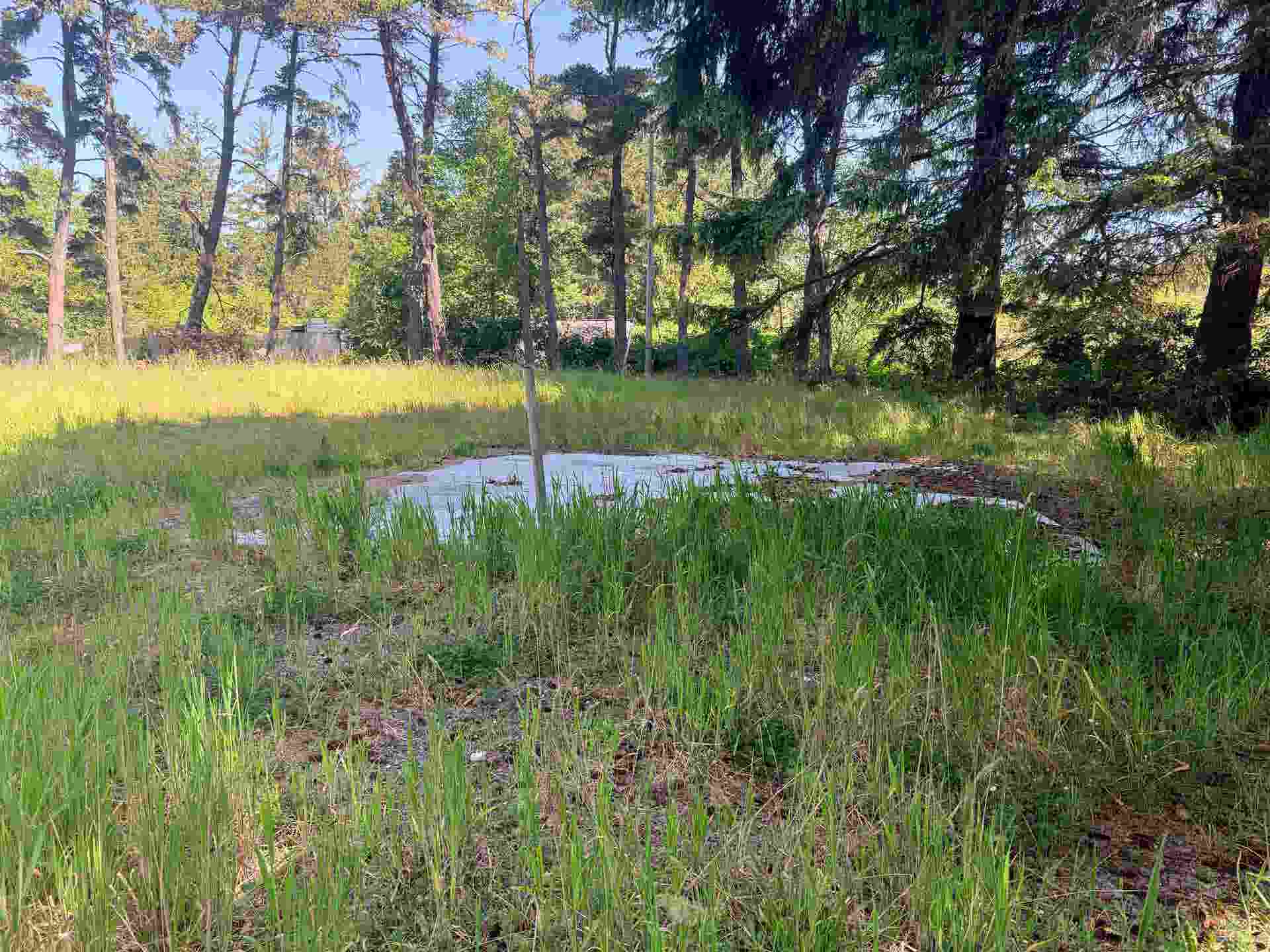 1811 W Jefferson Street, Crescent City, CA 95531-5561