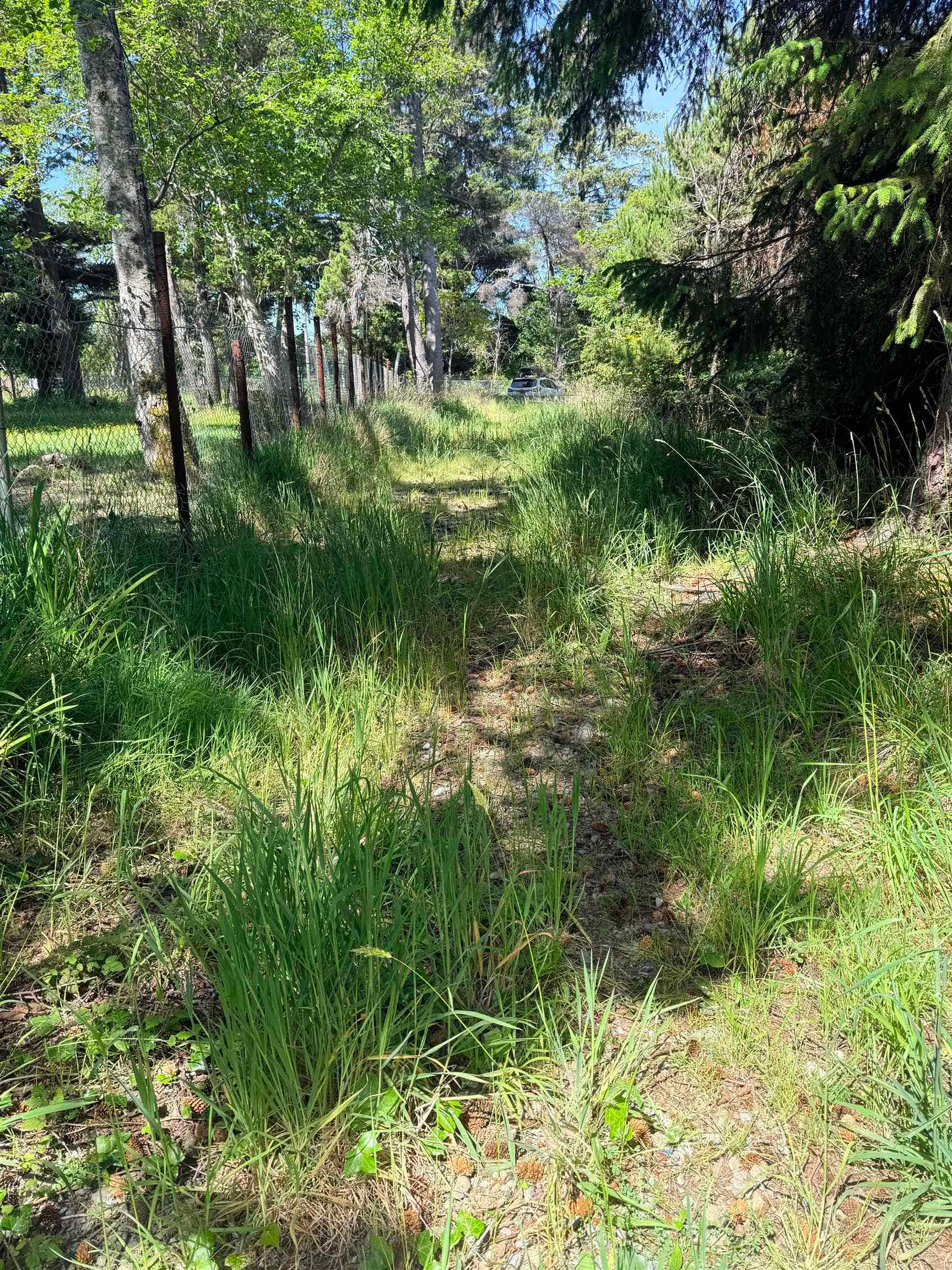 1811 W Jefferson Street, Crescent City, CA 95531-5561