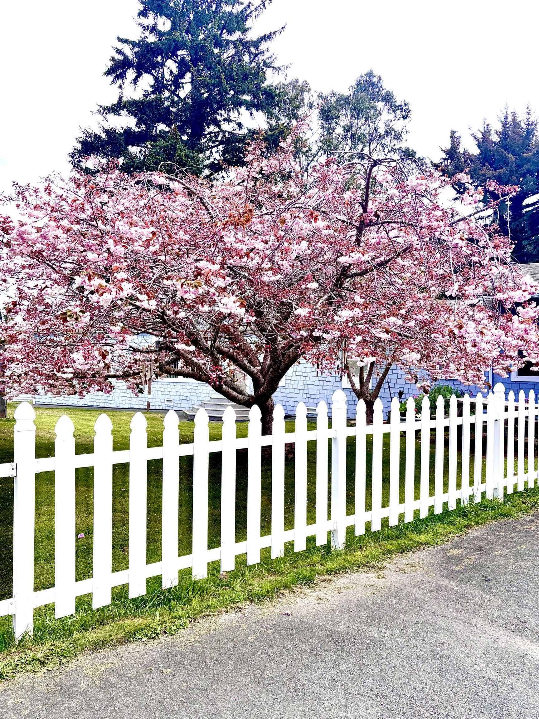 700 & 740 Oak Road, Crescent City, CA 95531