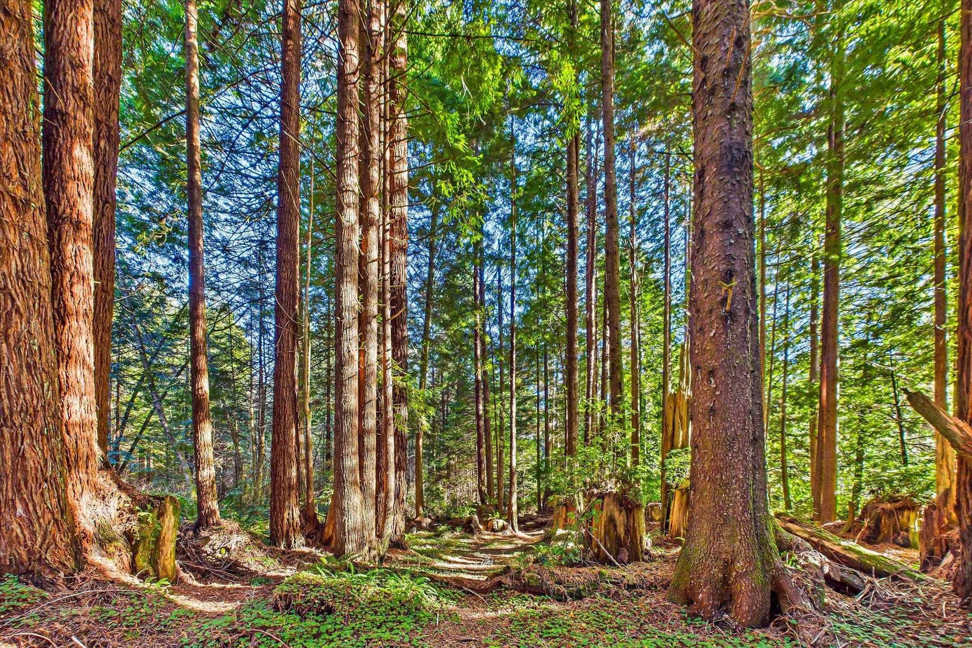 1700 Ferndale Lane, Crescent City, CA 95531