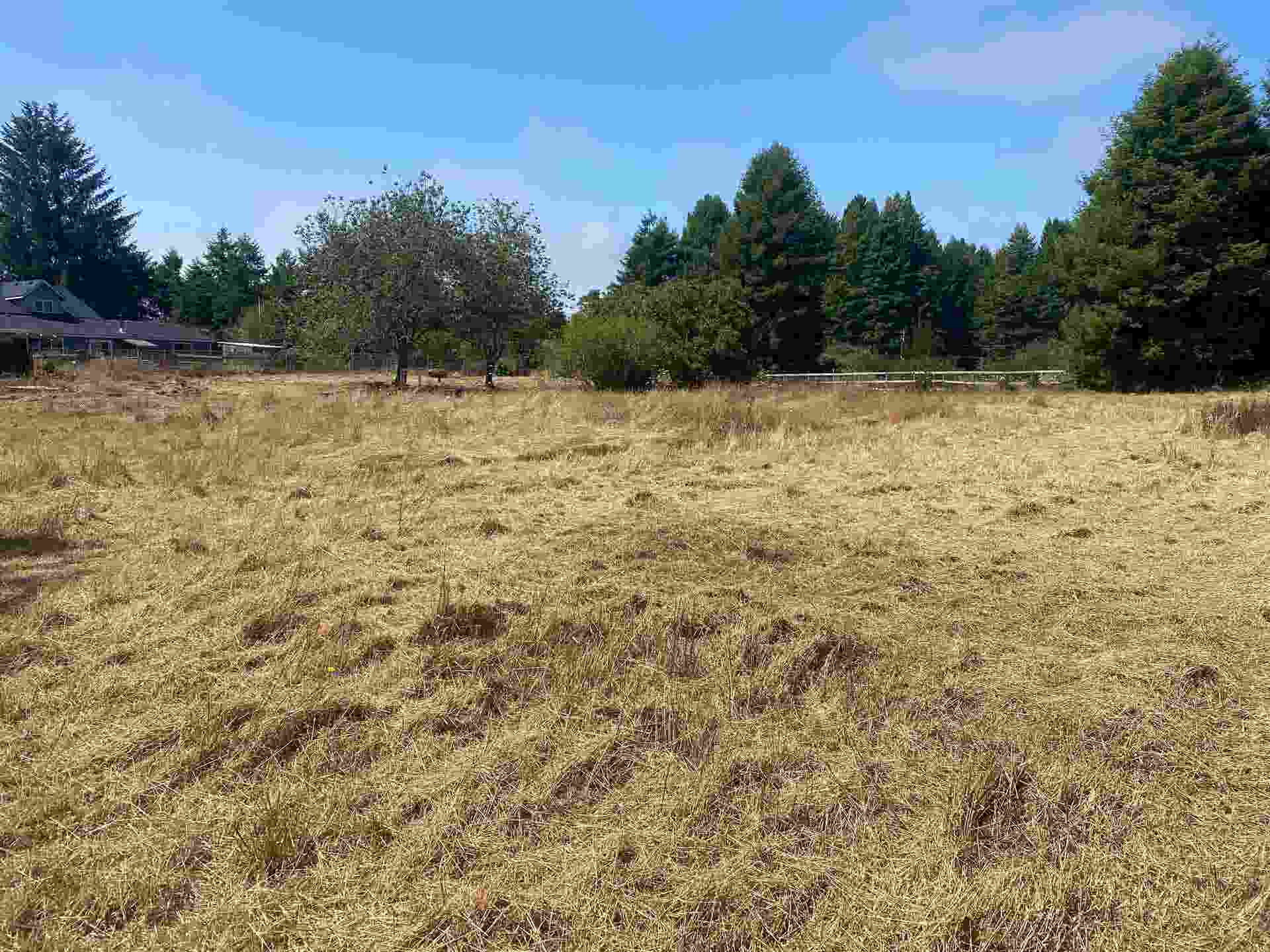 4415 Lake Earl Drive, Crescent City, CA 95531
