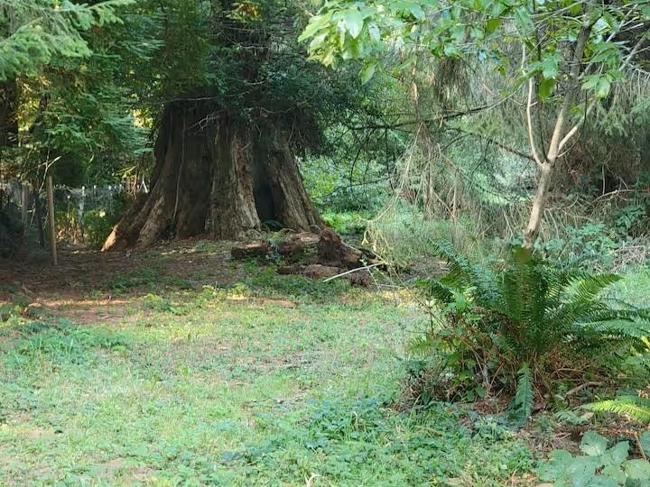 400 Paige Lane, Crescent City, CA 95531