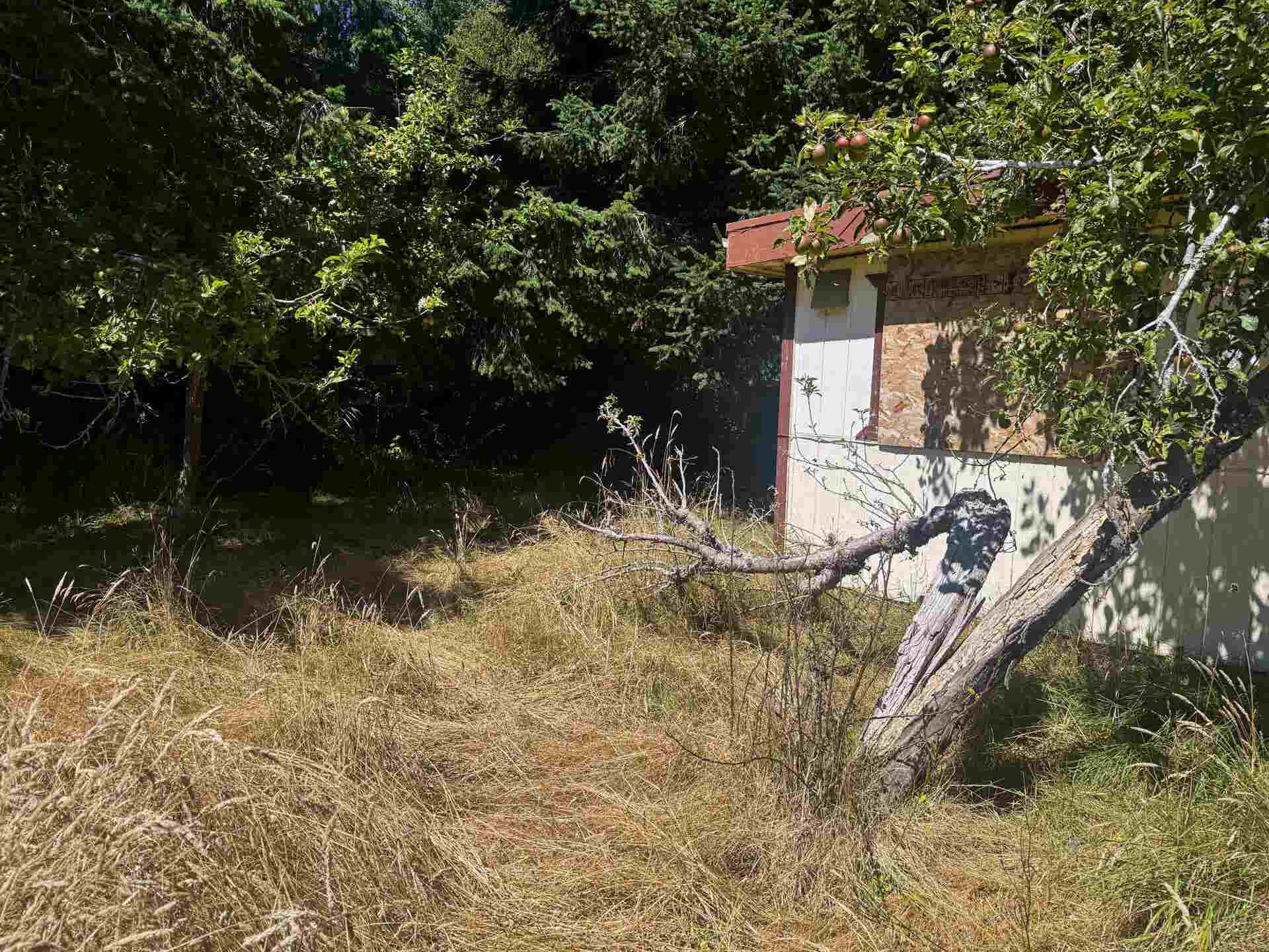 991 Kern Street, Crescent City, CA 95531