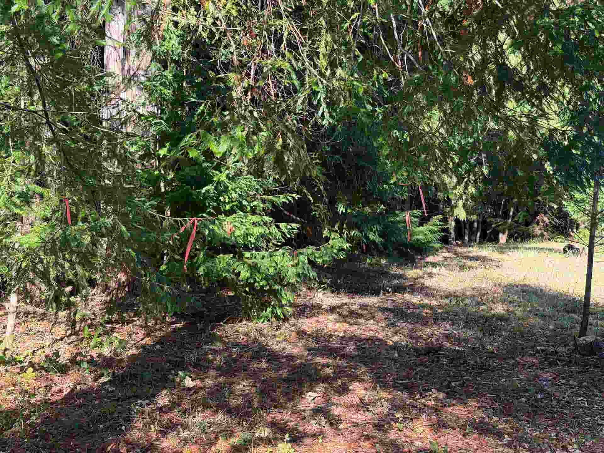 120 Lado Del Rio, Gasquet, CA 95543