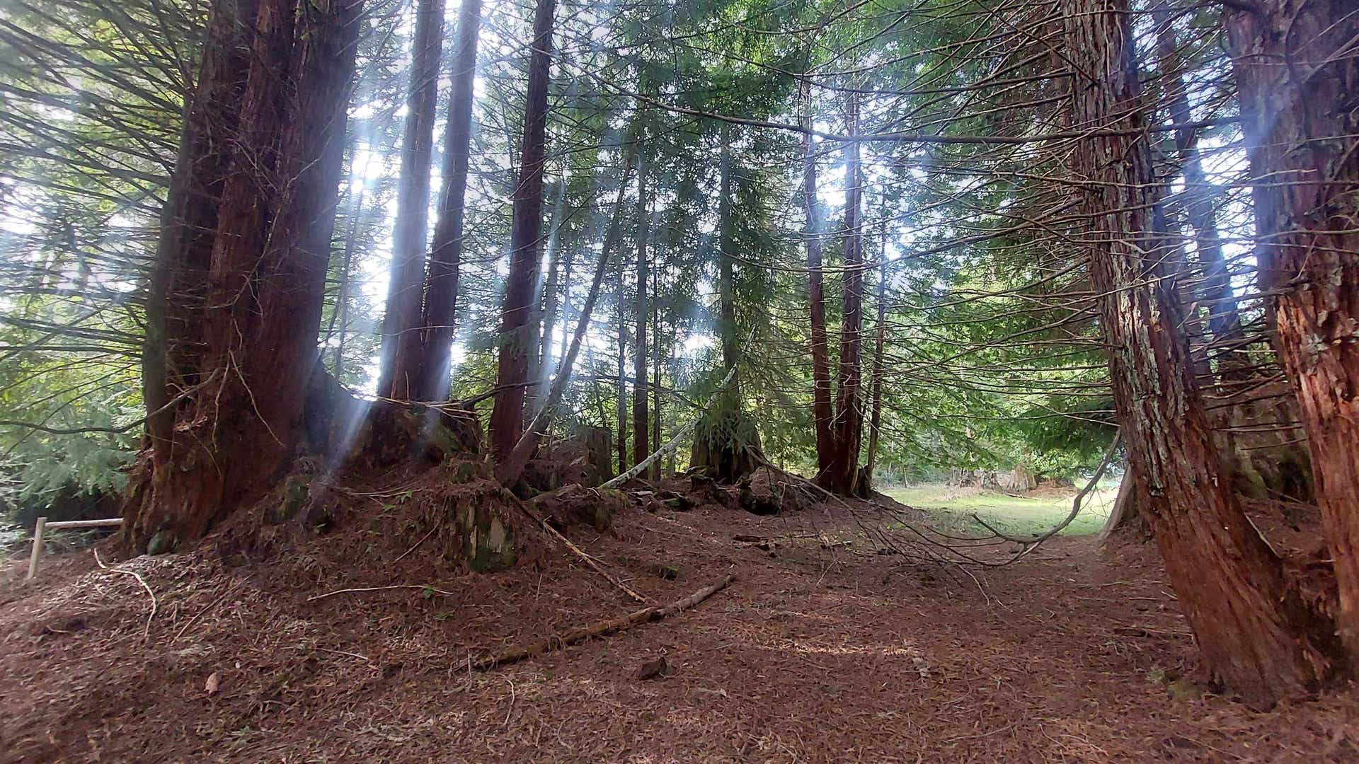 000 Arrowhead, Crescent City, CA 95531