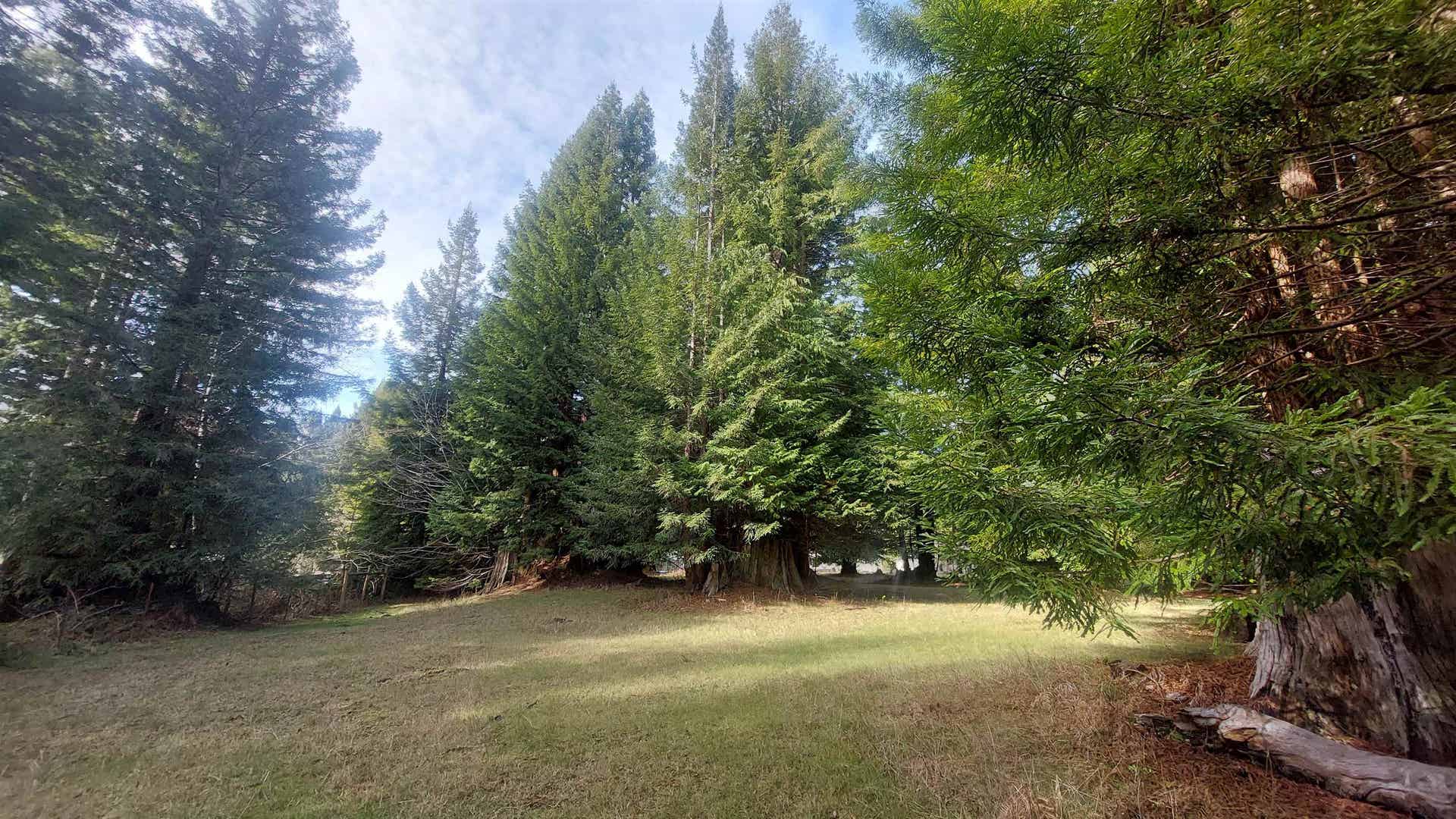 000 Arrowhead, Crescent City, CA 95531