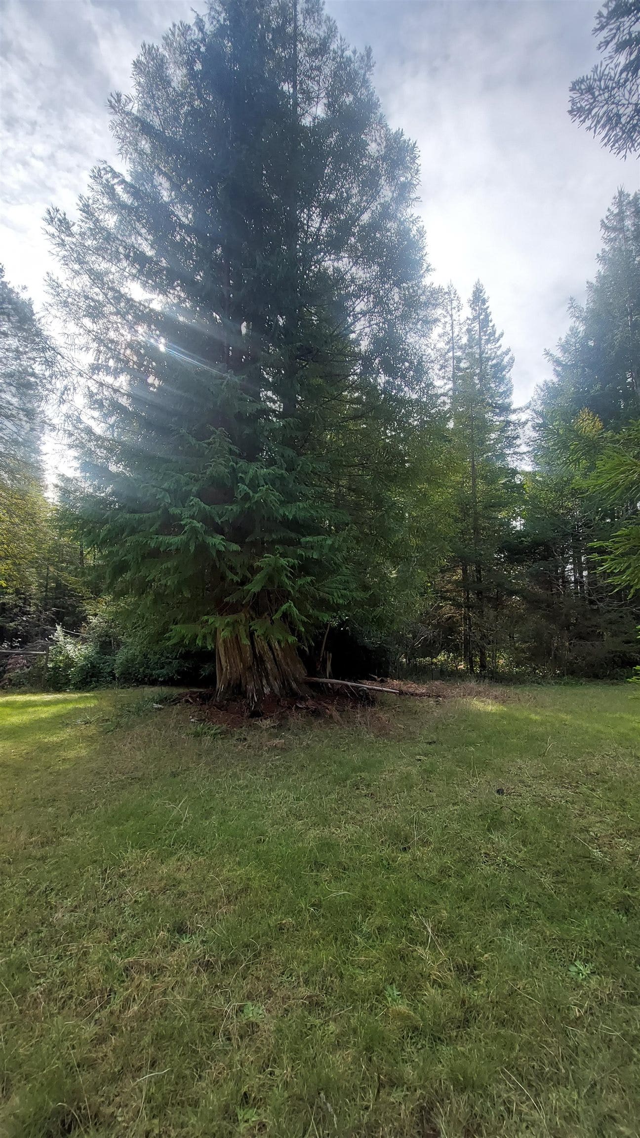 000 Arrowhead, Crescent City, CA 95531