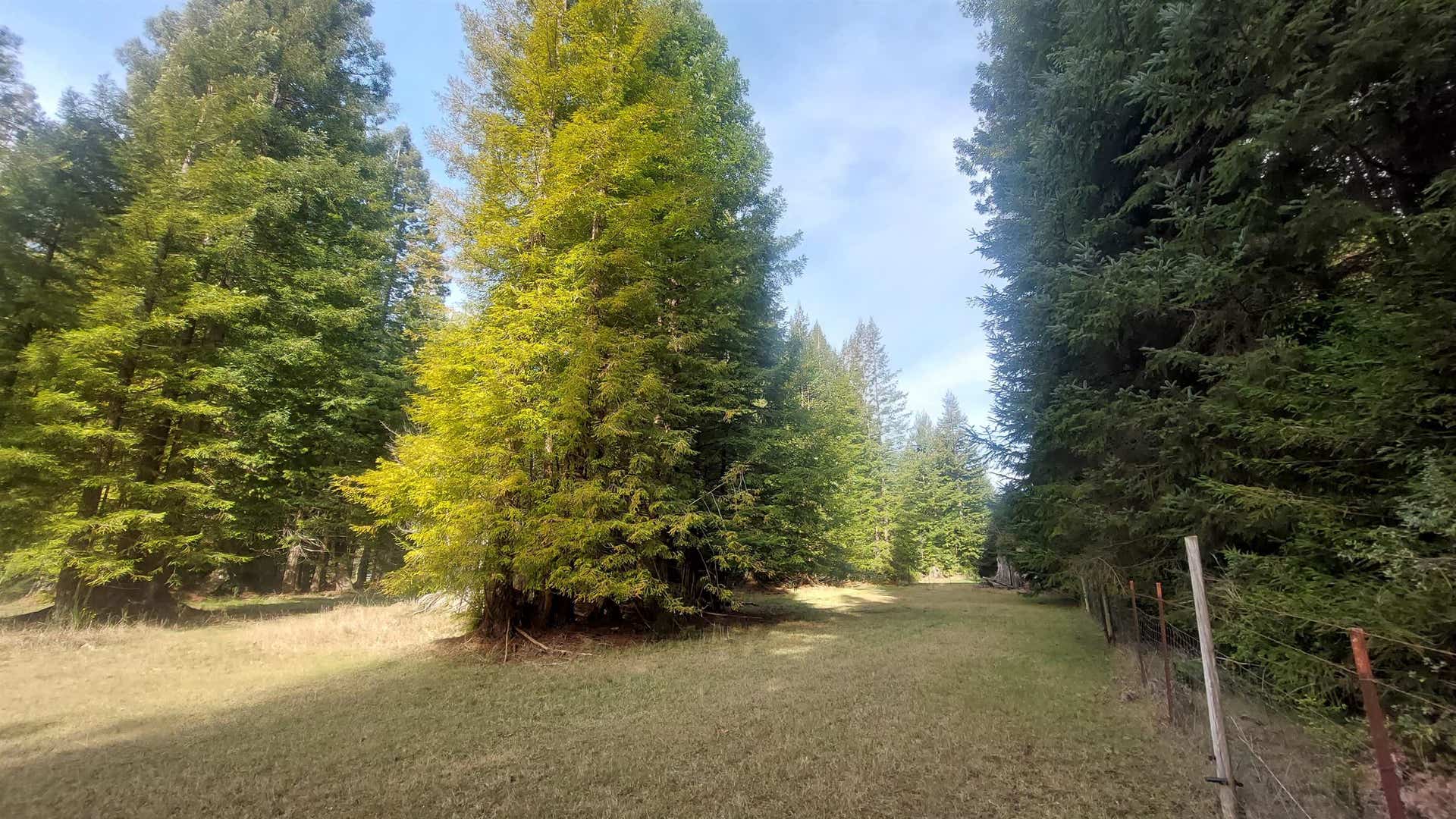 000 Arrowhead, Crescent City, CA 95531