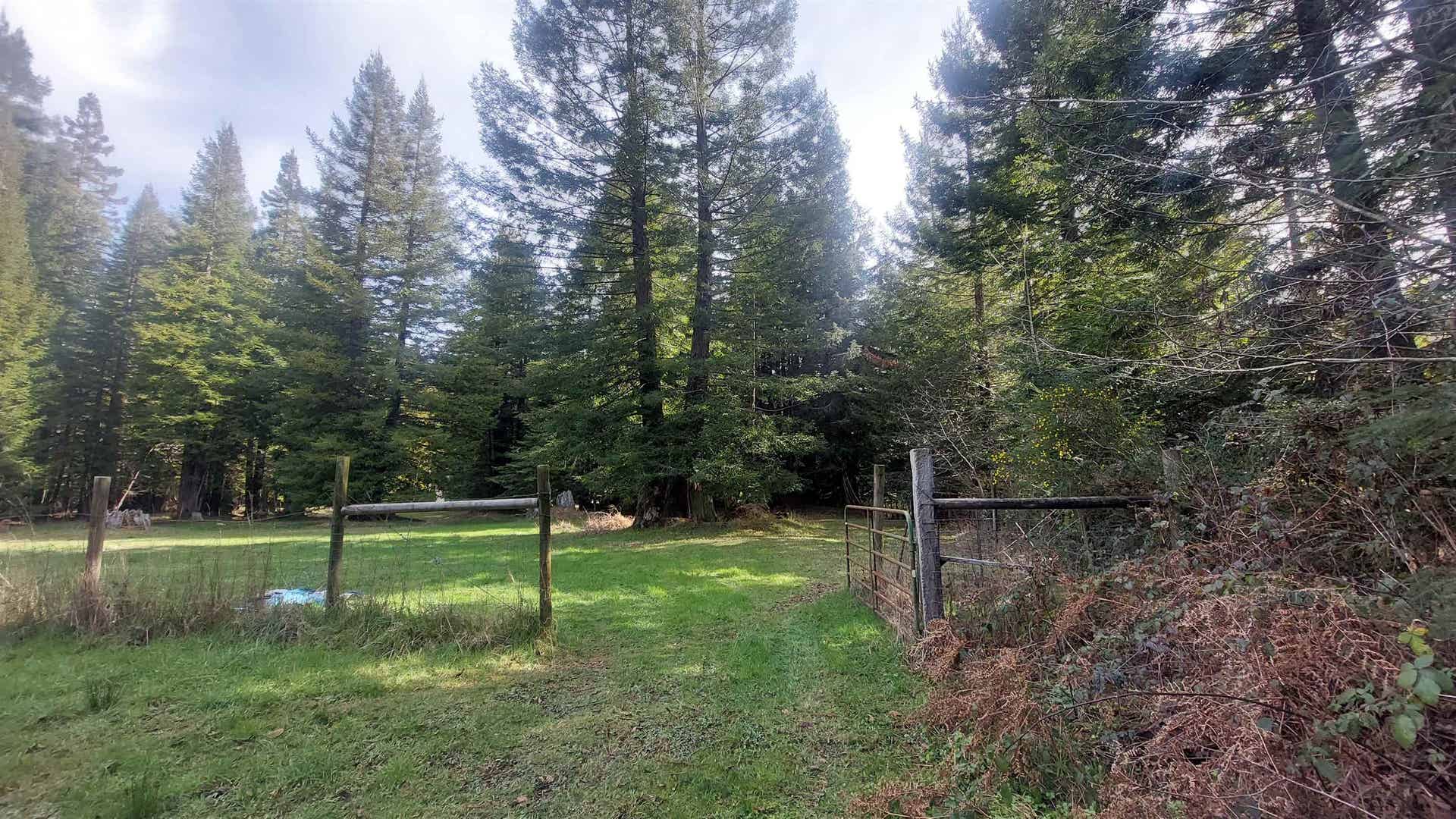000 Arrowhead, Crescent City, CA 95531