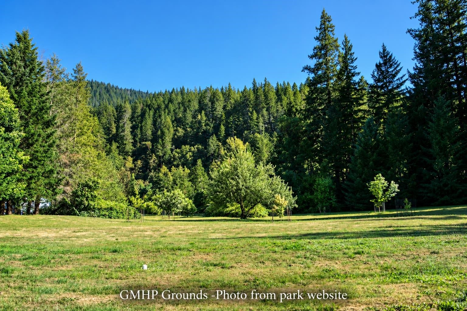 9825 US HWY 199 #12, Gasquet, CA 95543